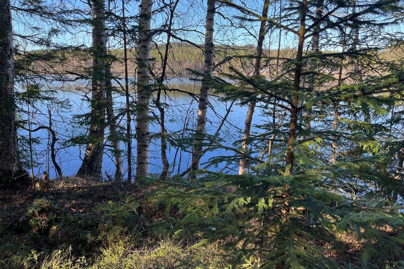 Torsby Fastnäs 1:91