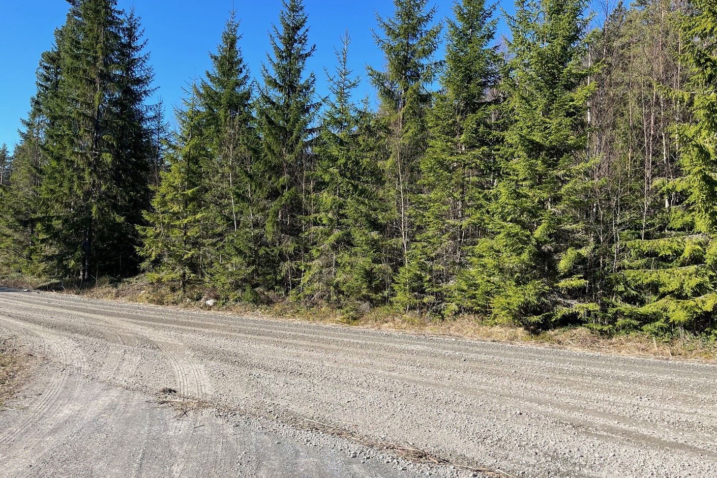 Torsby Fastnäs 1:91