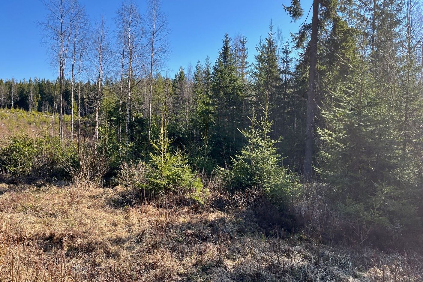 Torsby Fastnäs 1:91