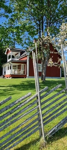 Trädgården