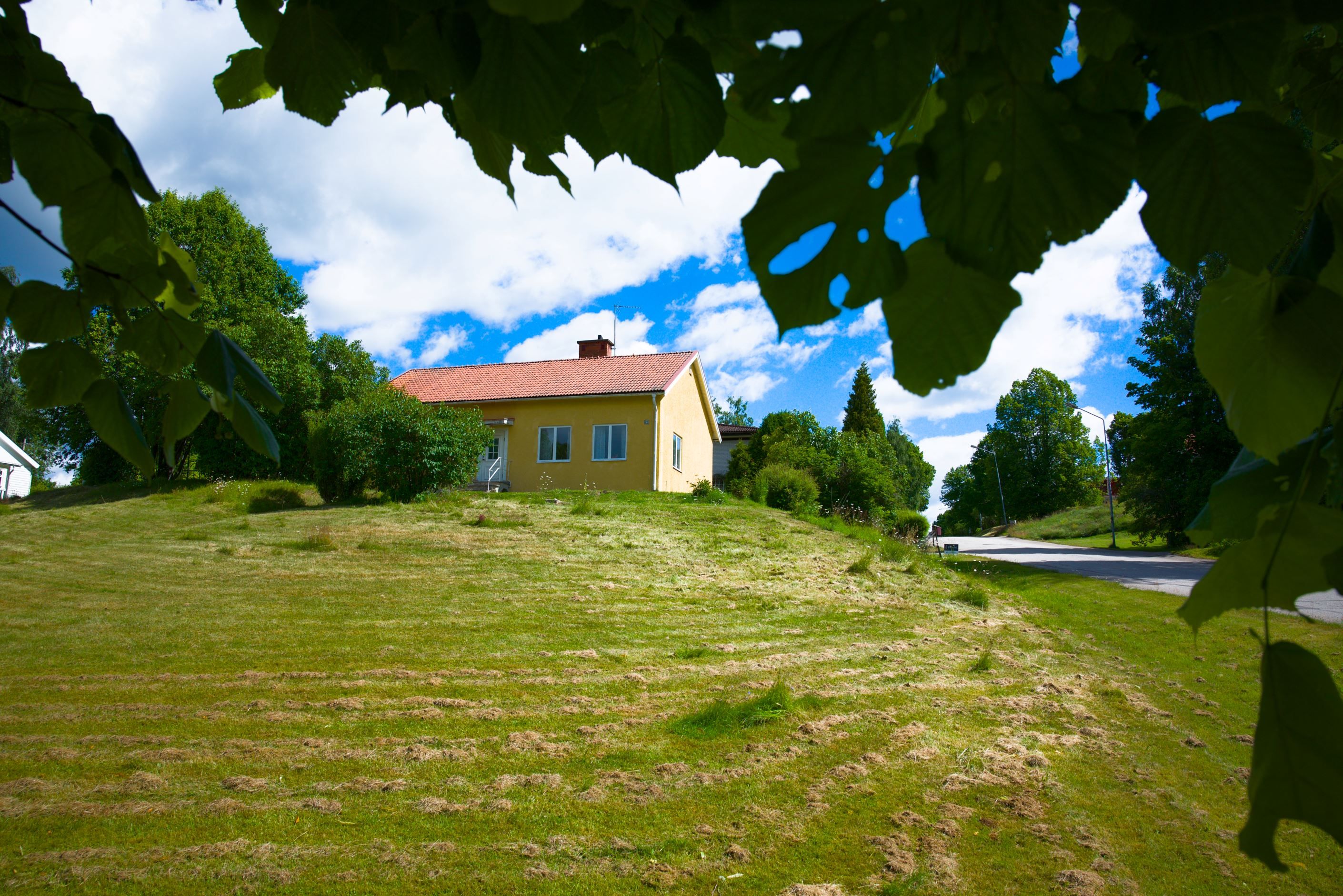 Exteriör