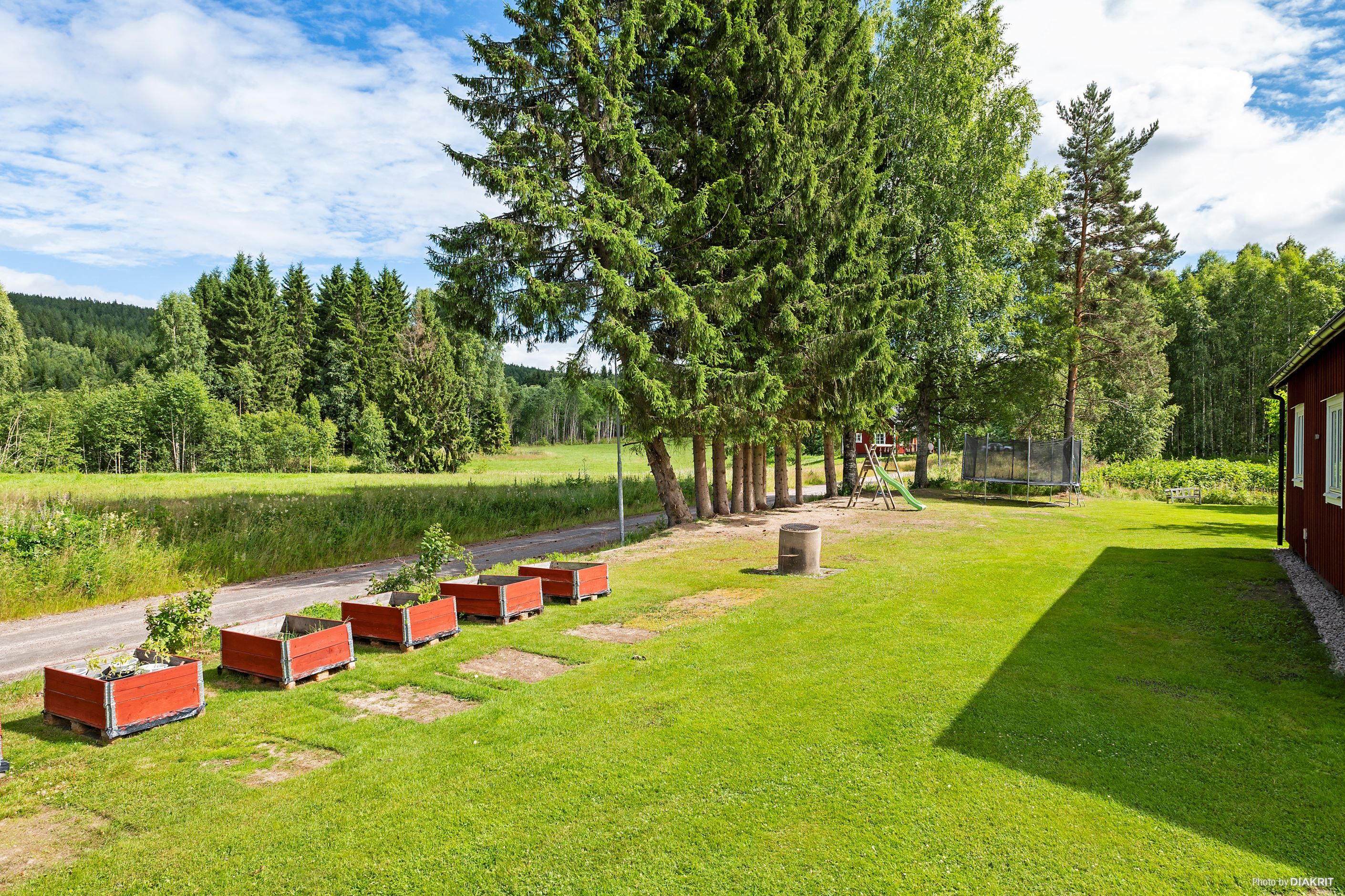 Trädgård