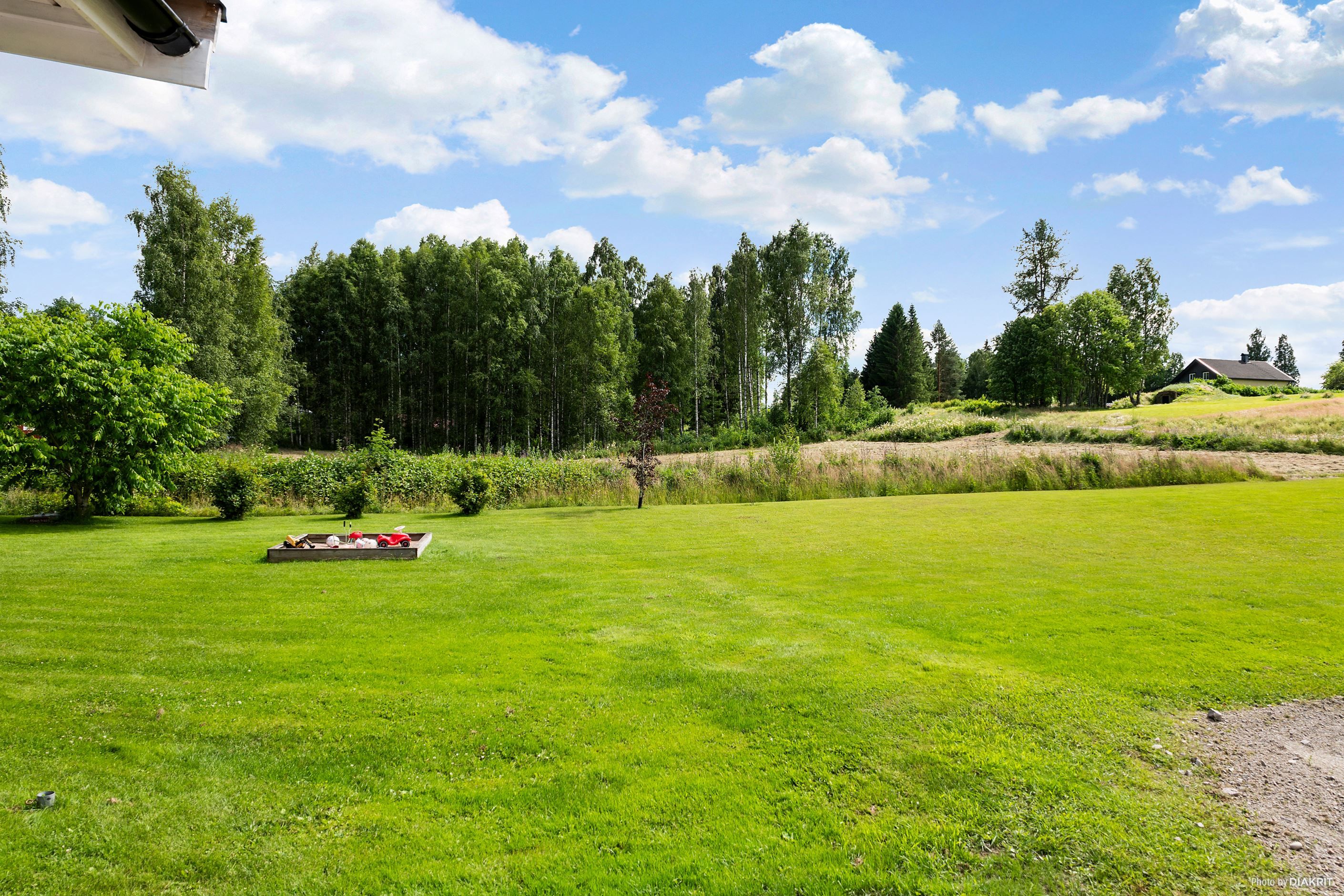 Trädgård