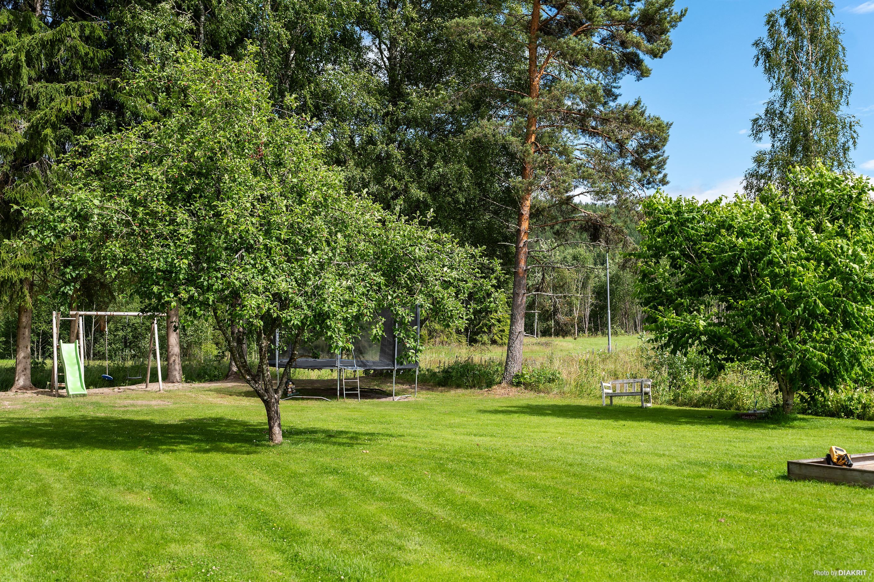 Trädgård