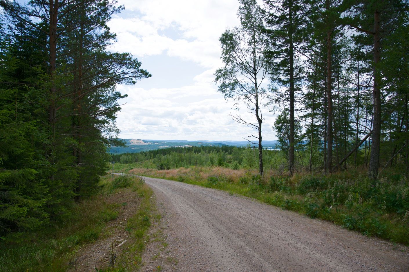 Naturnära omgivning