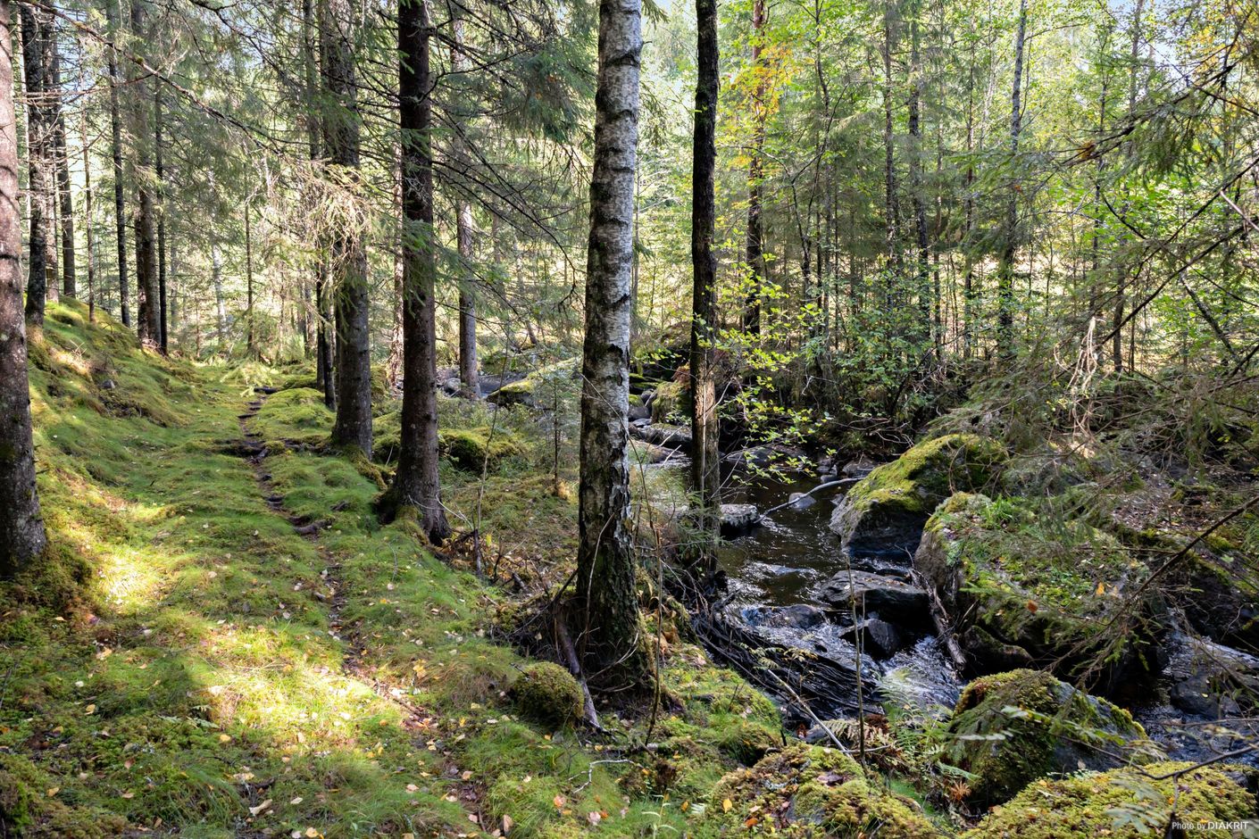 Lakenestorp 1:16 – bild 2