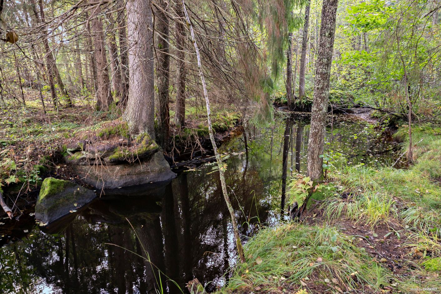 Lakenestorp 1:16 – bild 3