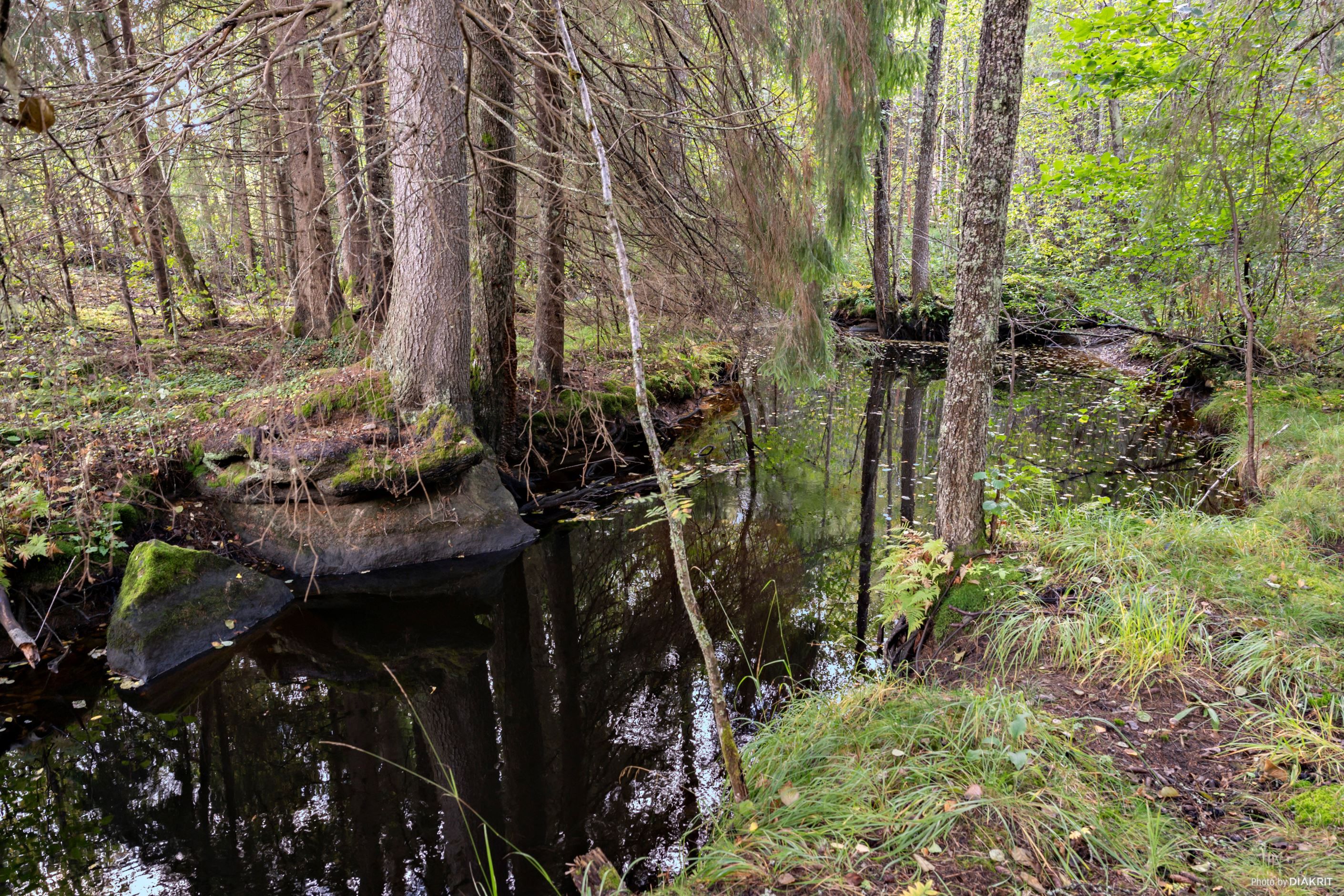 Bild 3 från HusmanHagberg
