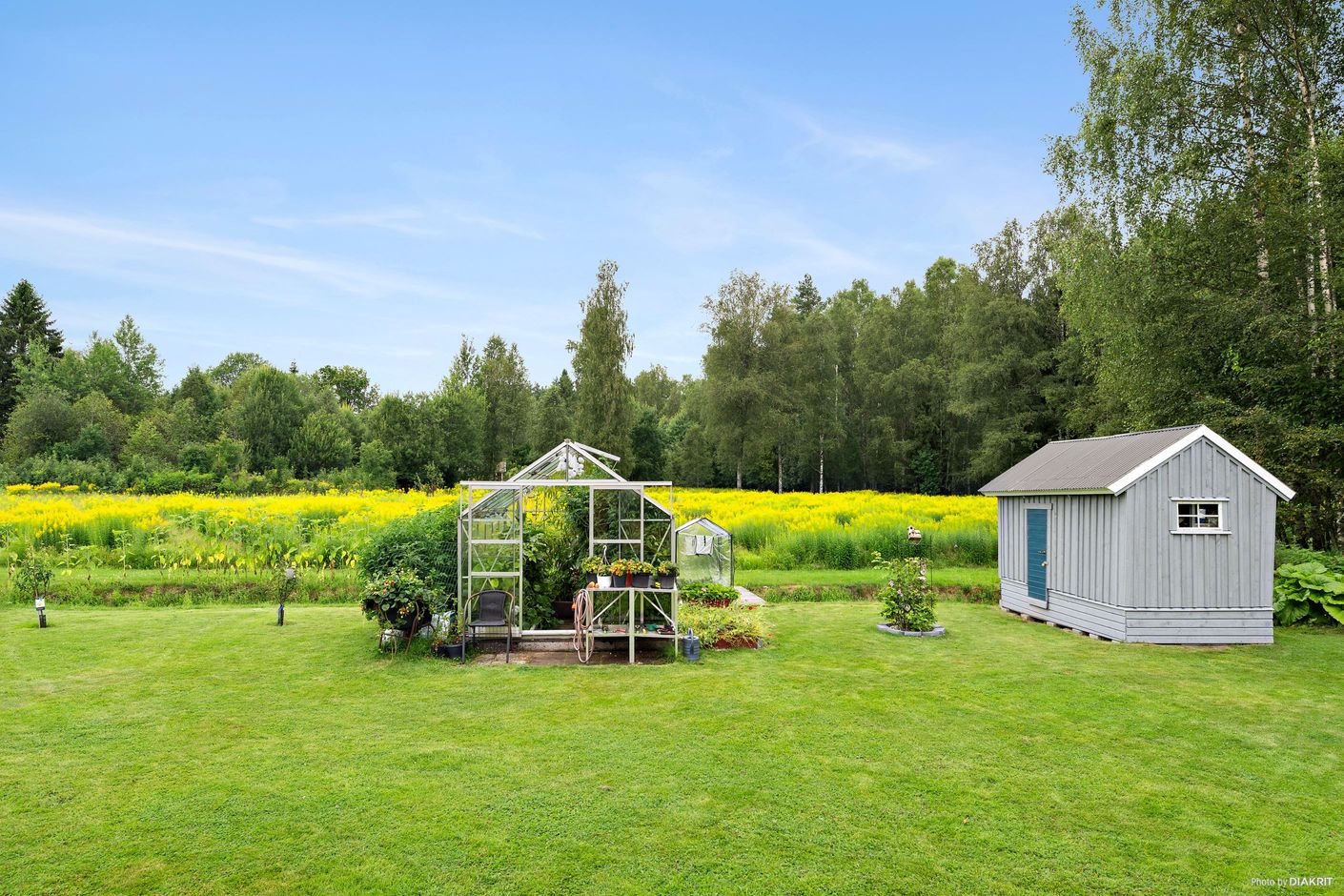Trädgård