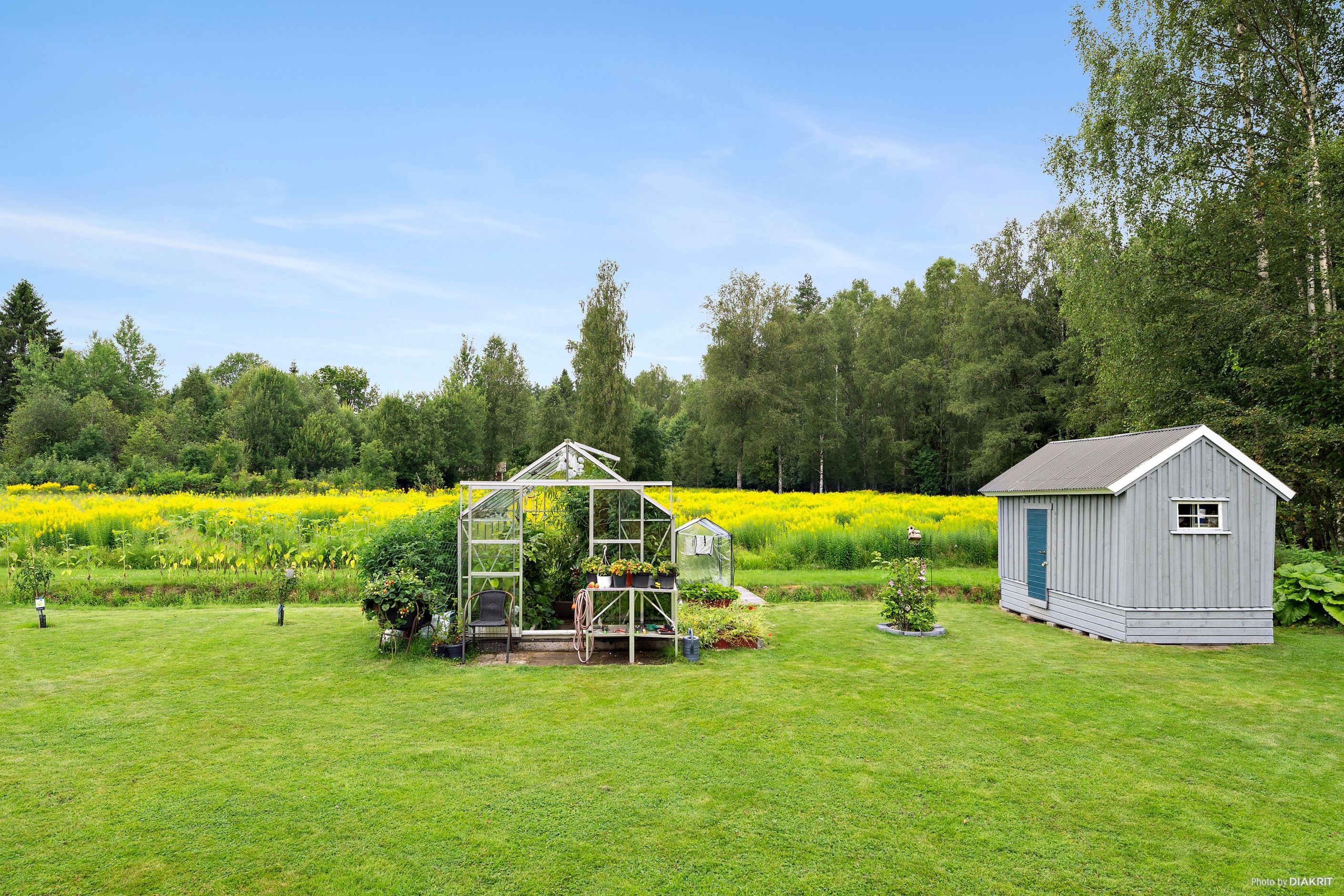 Trädgård
