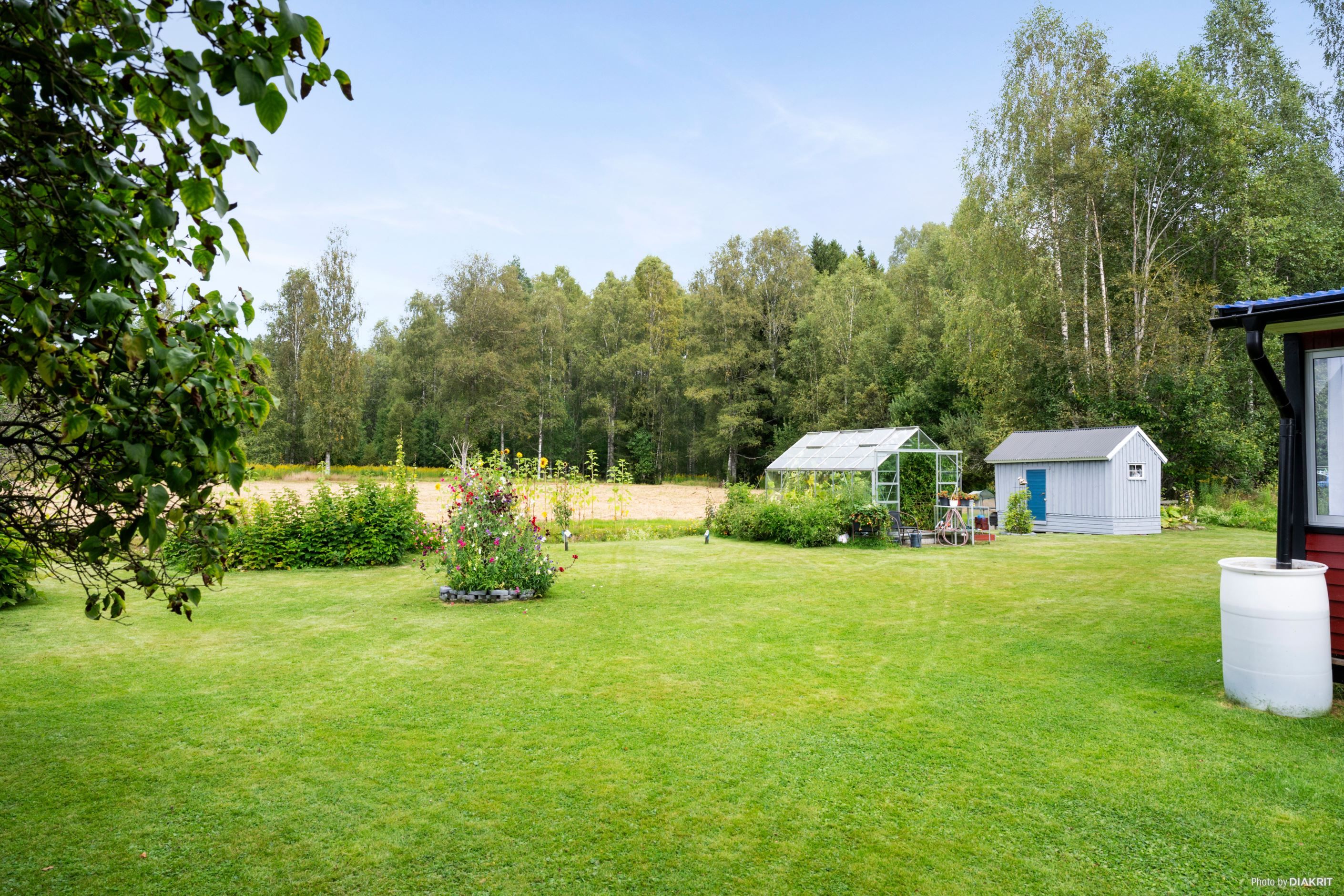 Trädgård