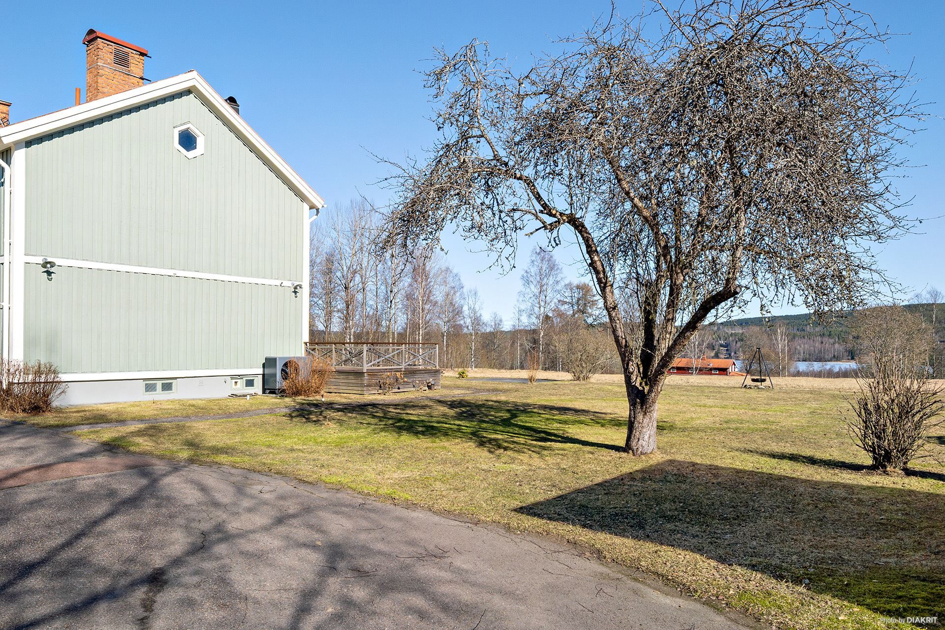 Trädgård