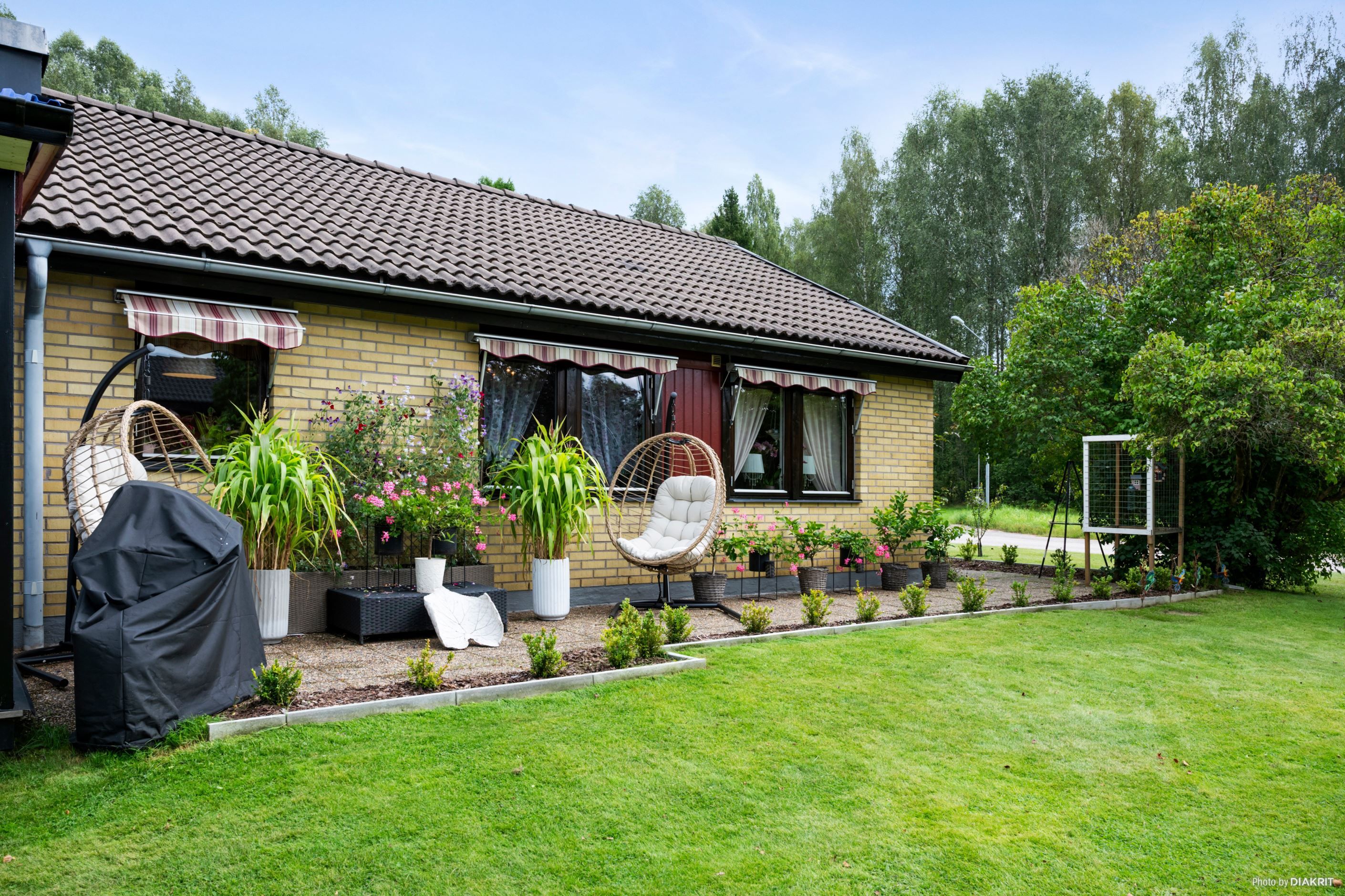 Trädgård på baksidan