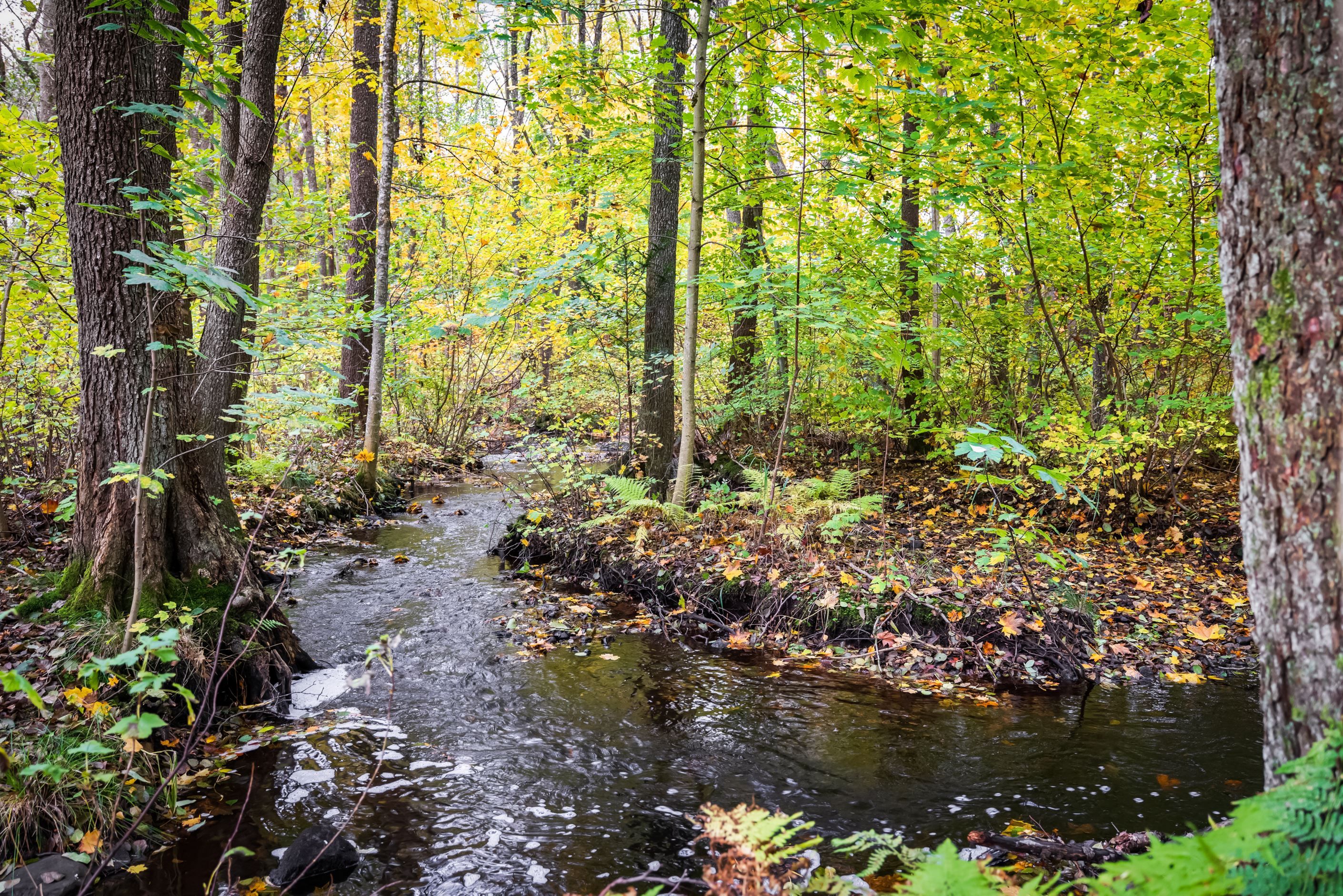 Bäcken som rinner intill fastigheten