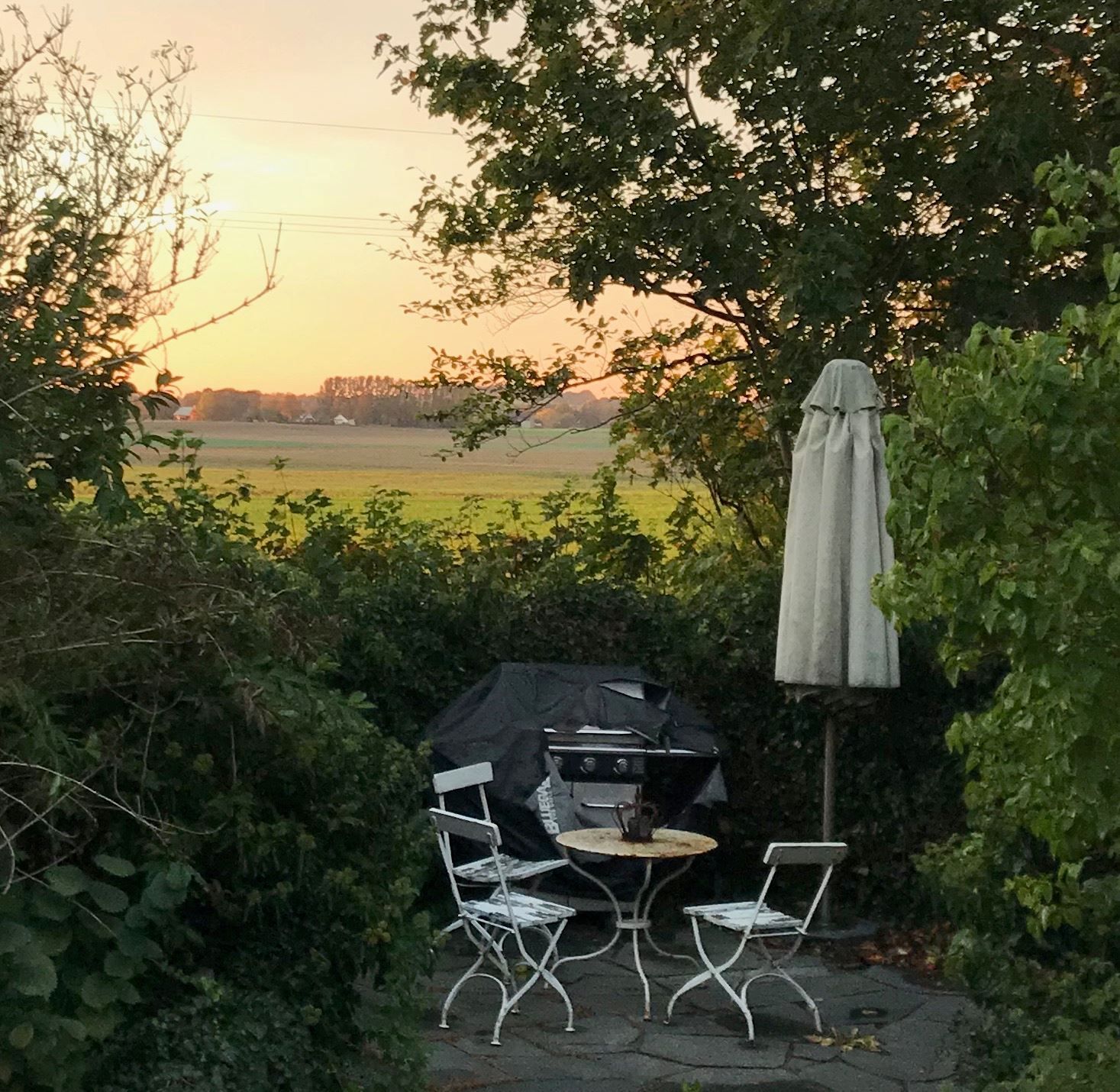 Säljarens egentagna bild