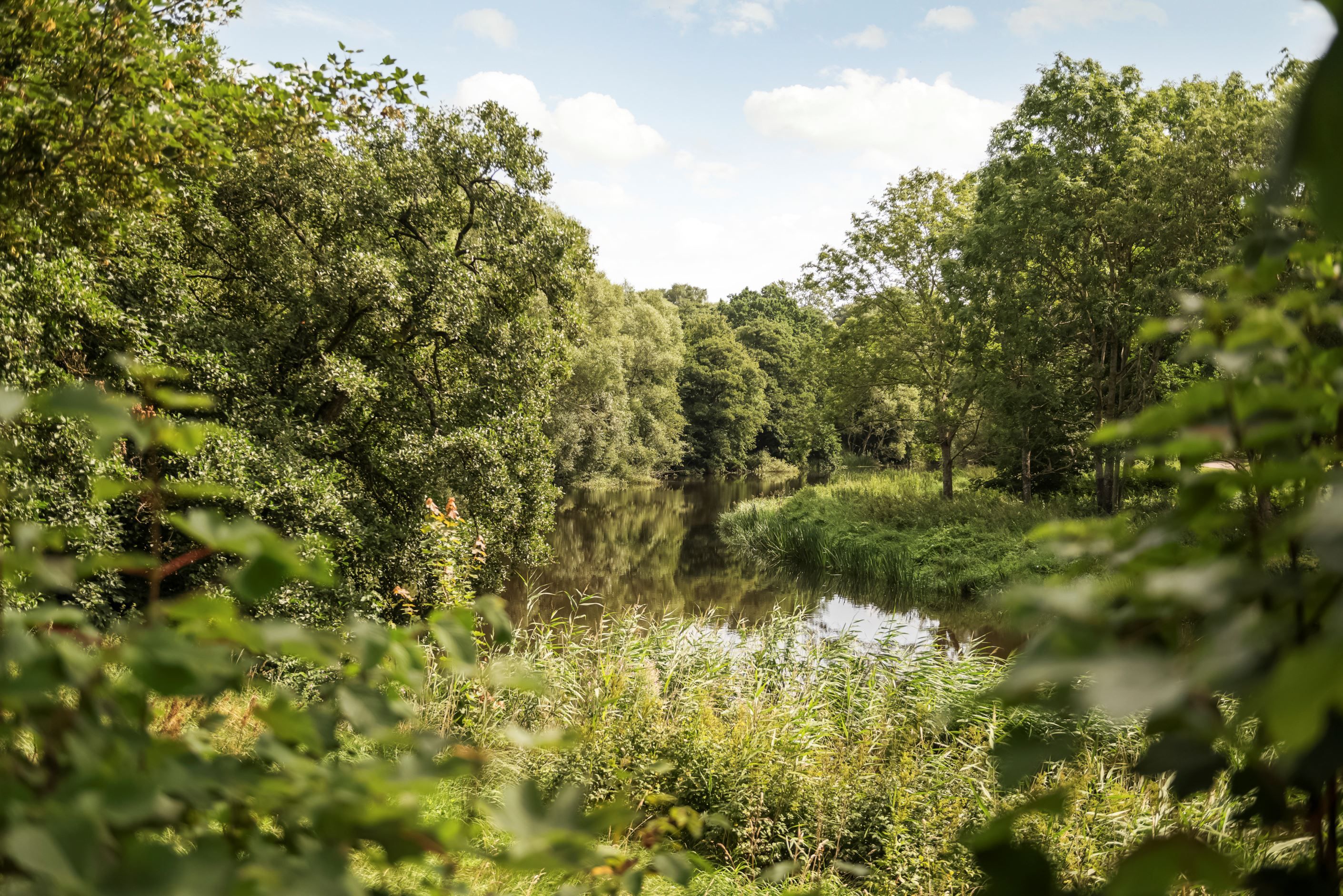Rönne å som ligger bara ett stenkast bort