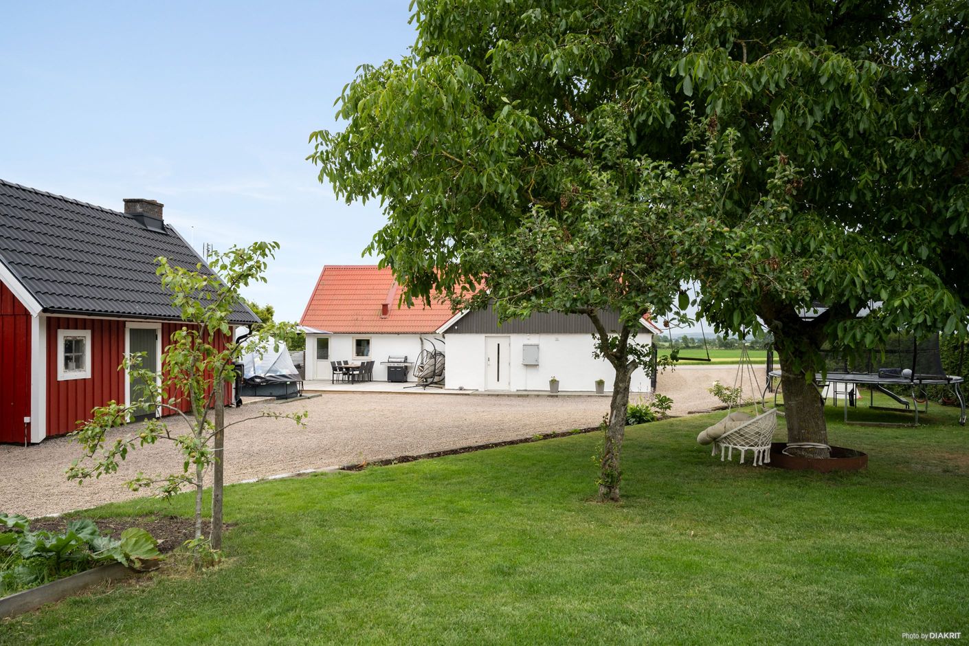 Trädgård
