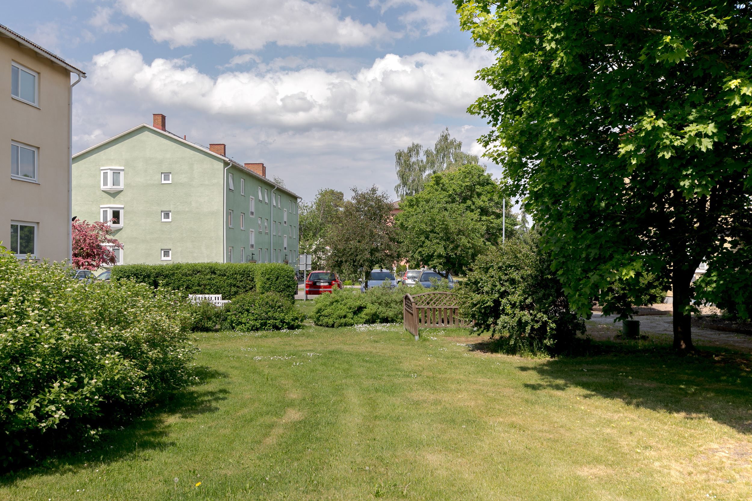 Föreningens gemensamma trädgård