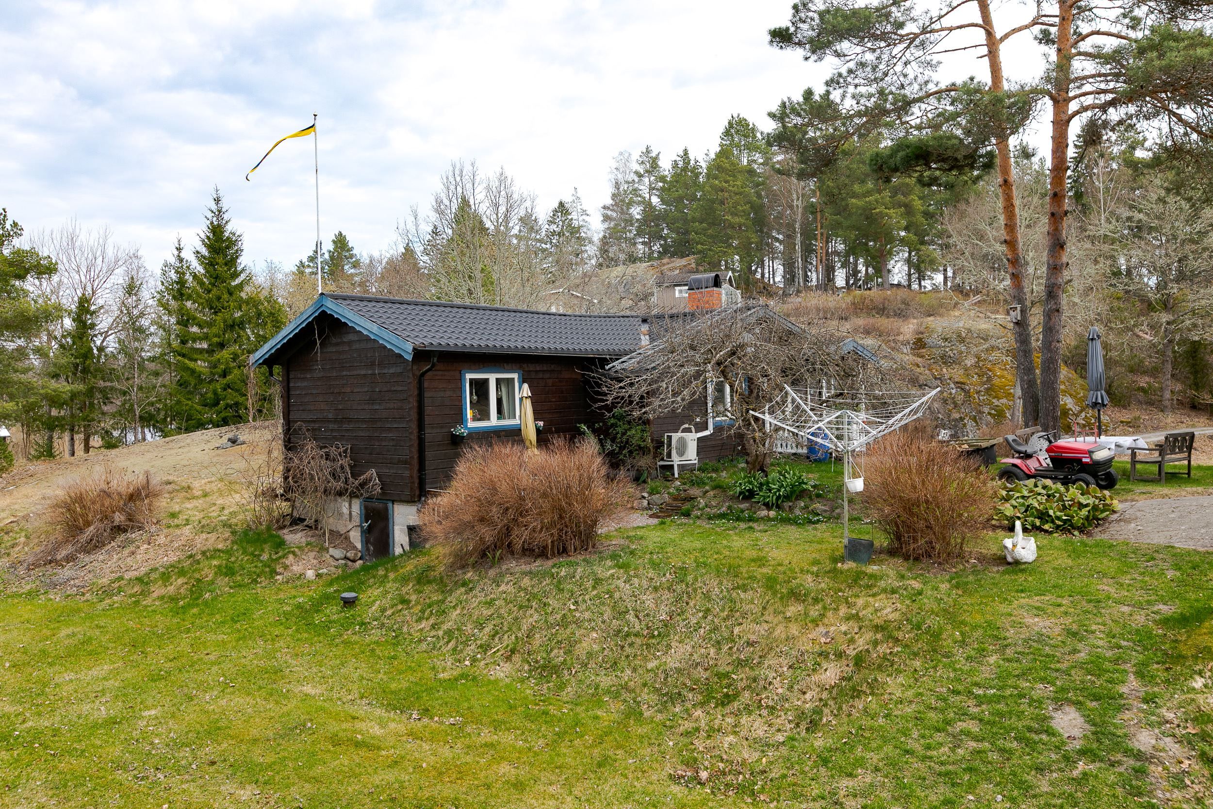 Trädgård