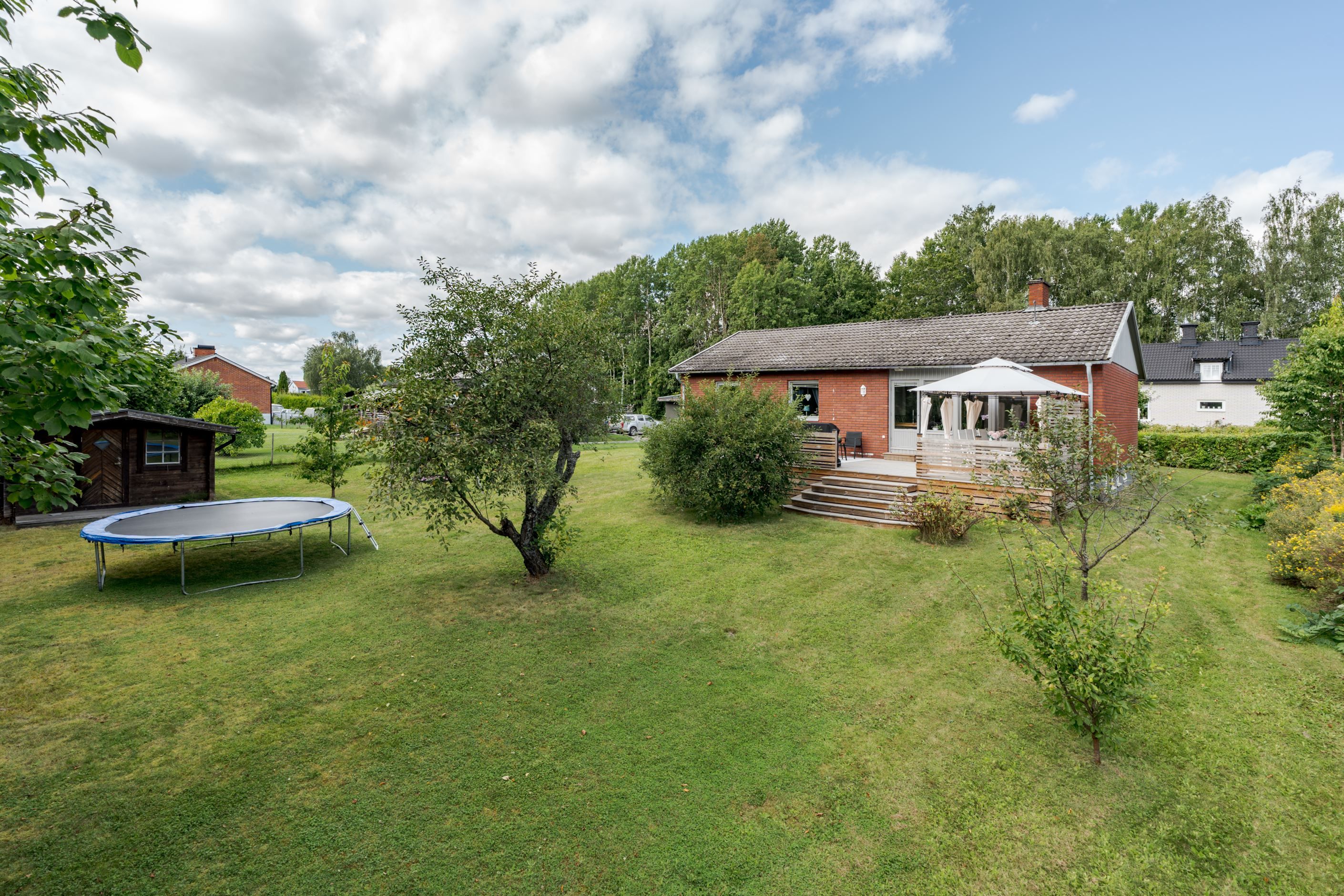 Trädgård
