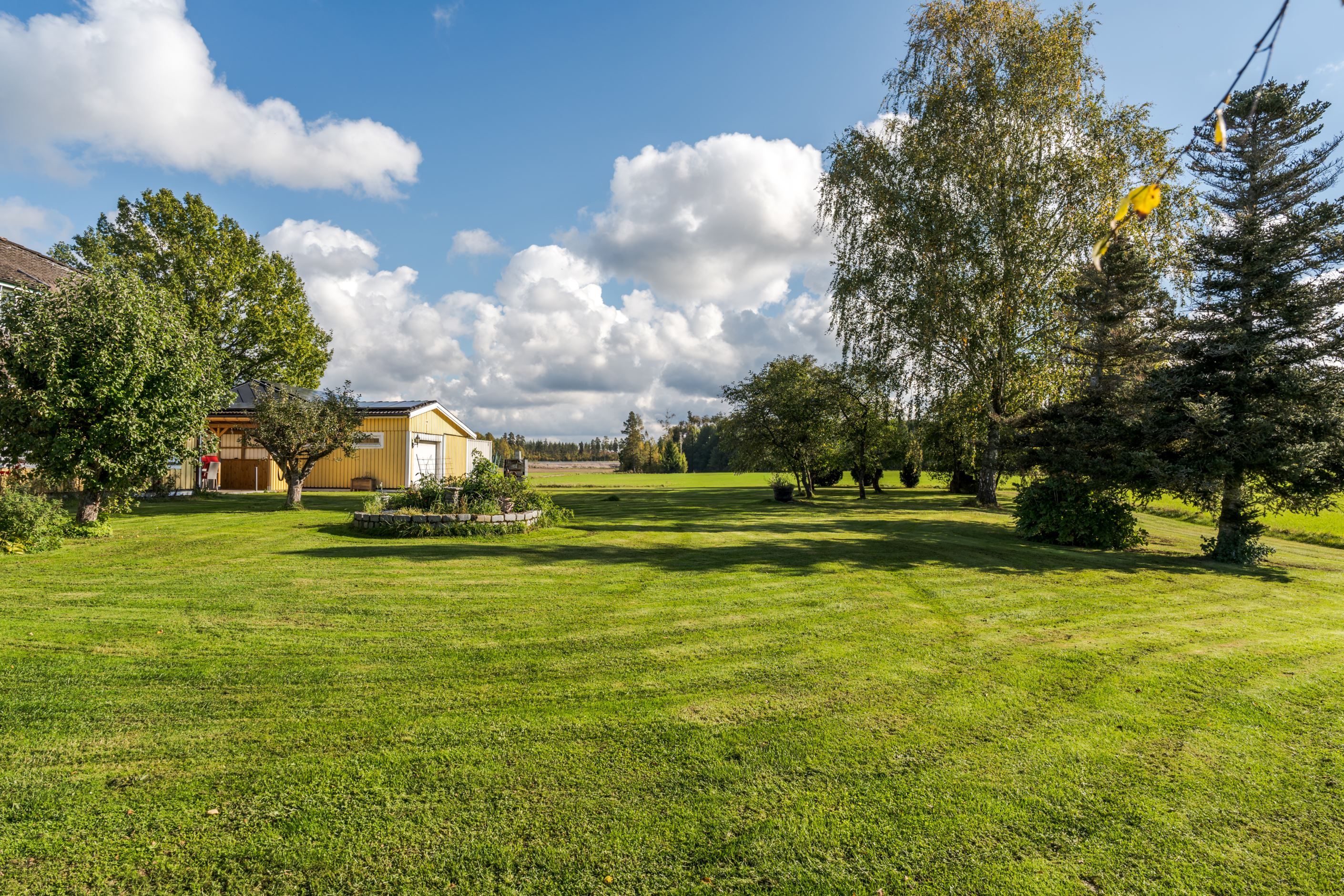 Trädgård