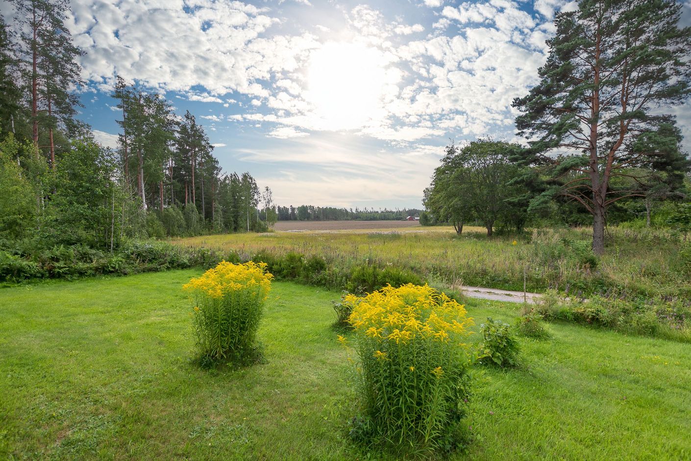 Utsikt över de öppna fälten