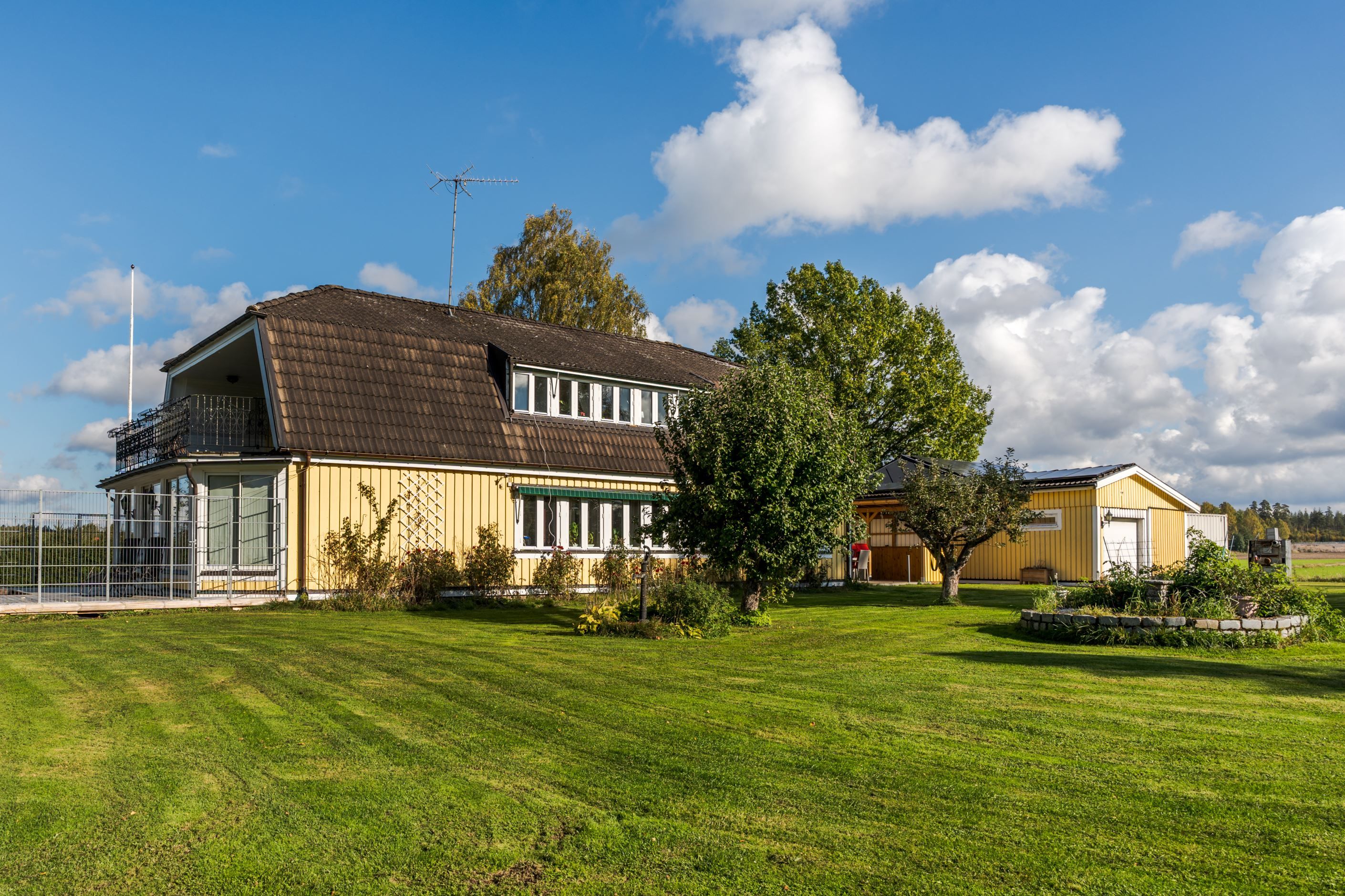 Trädgård
