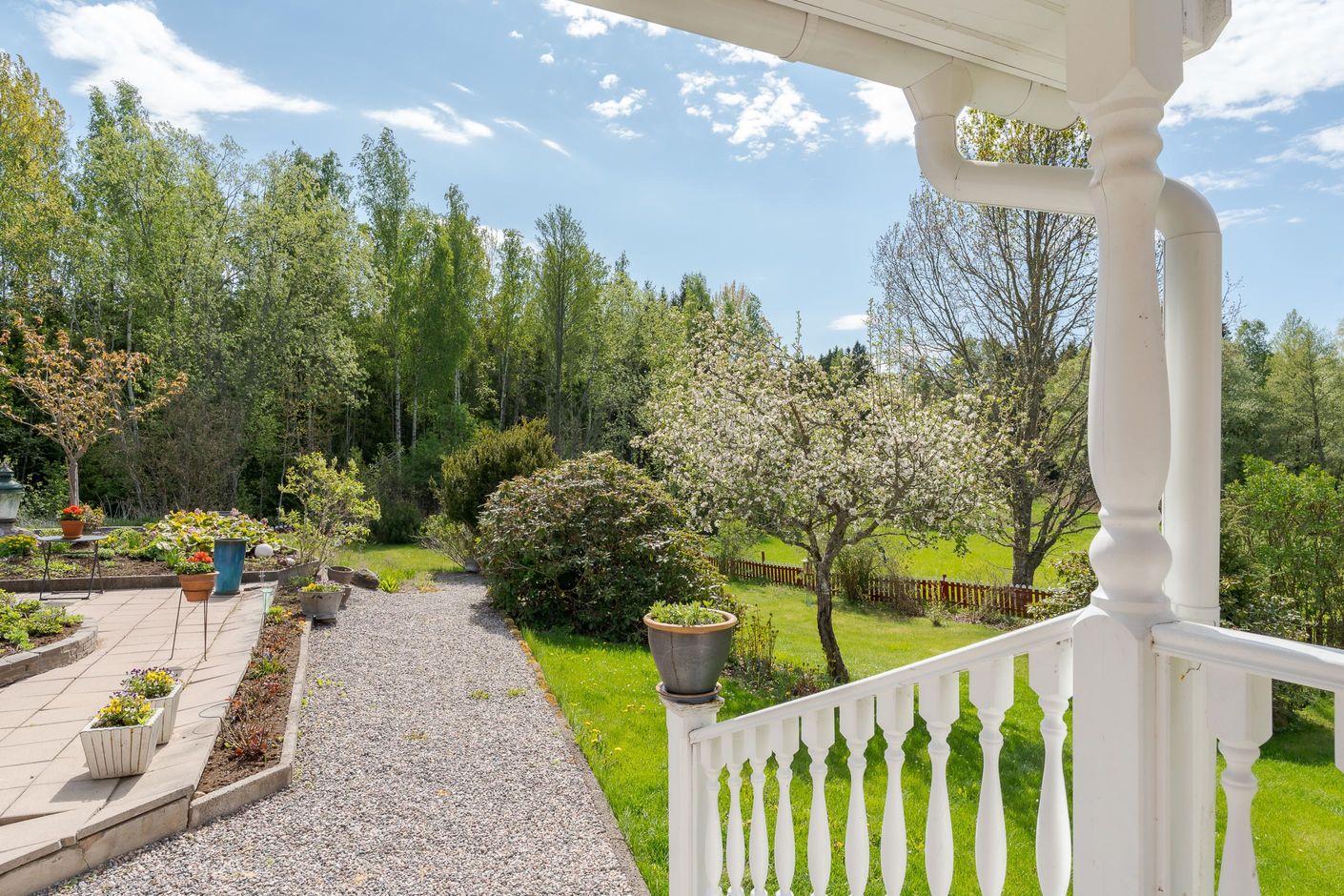 Trädgård