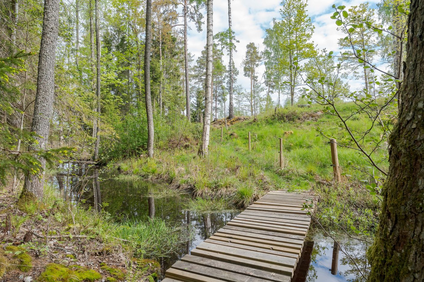 Områdesbild