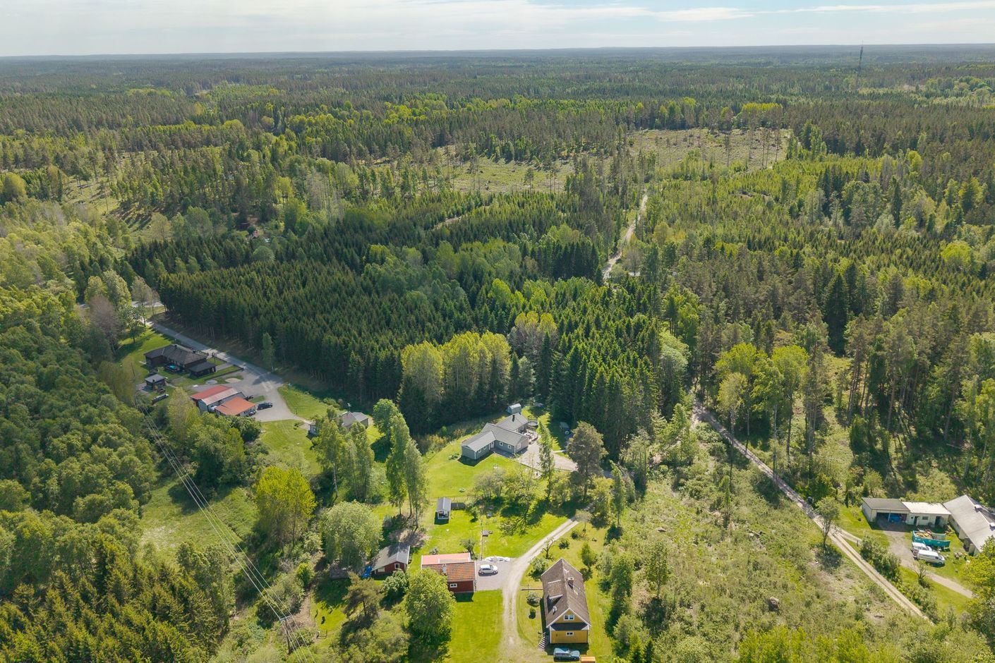 Forsa björkhaga 4