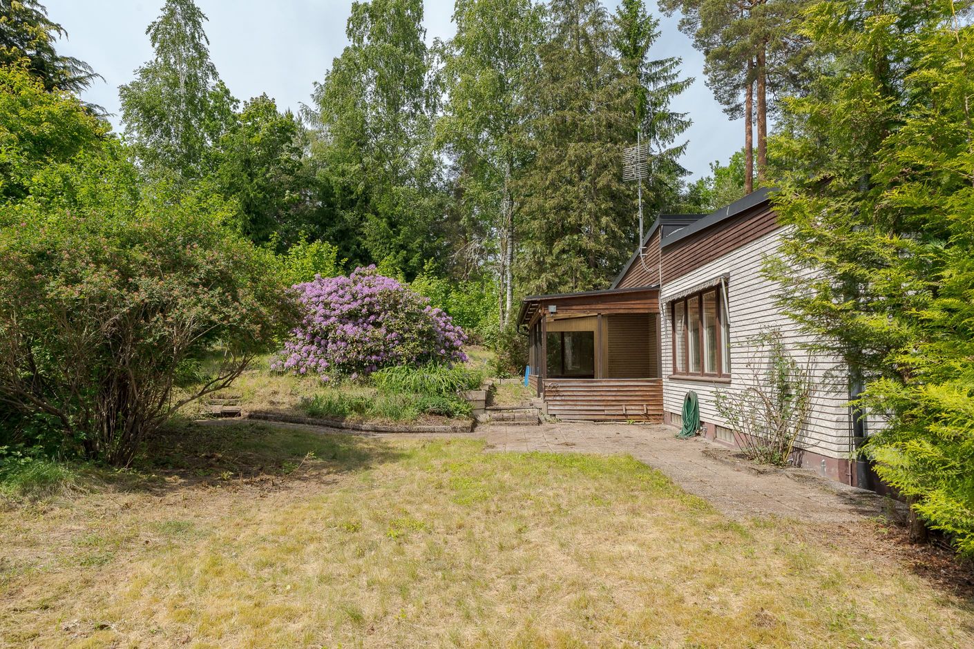 Trädgård