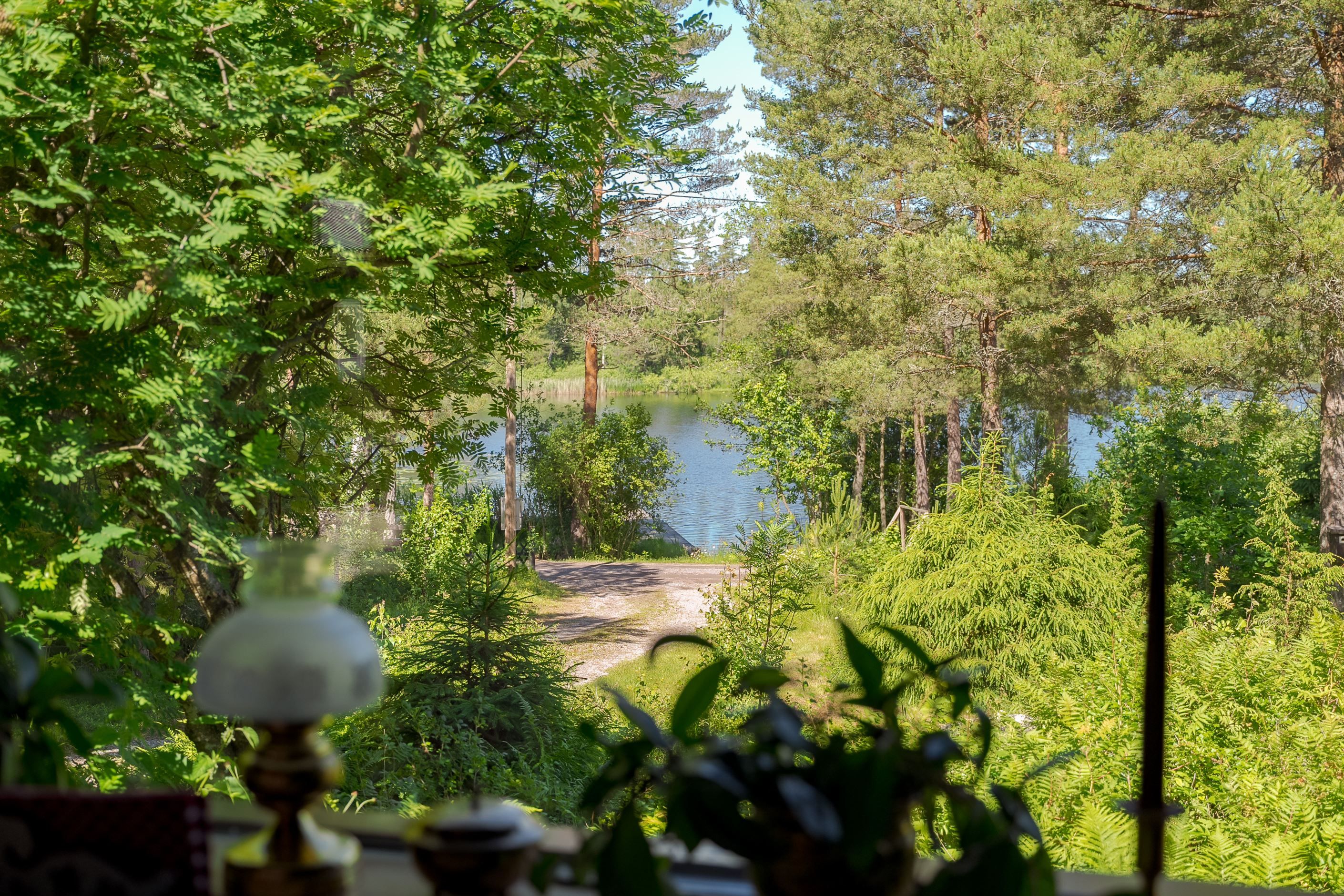 Utsikt från allrummet