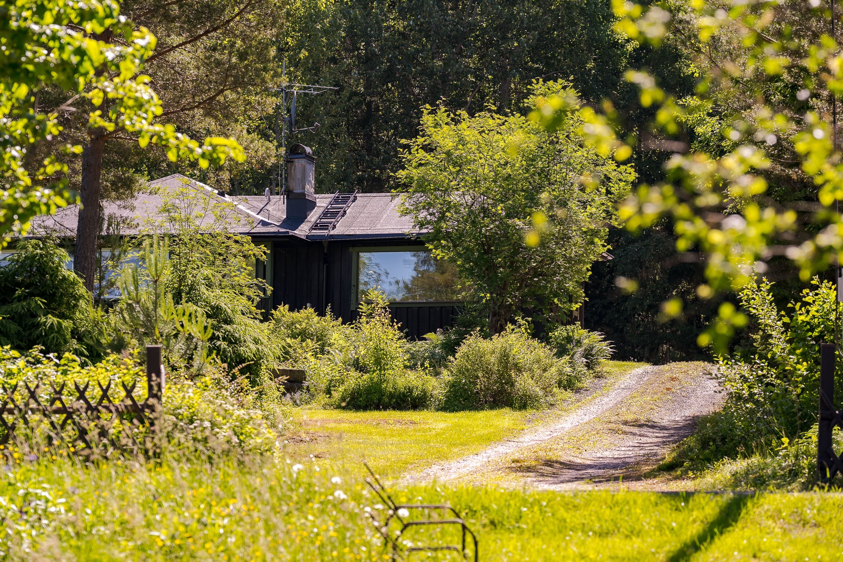 Häggsjön 10