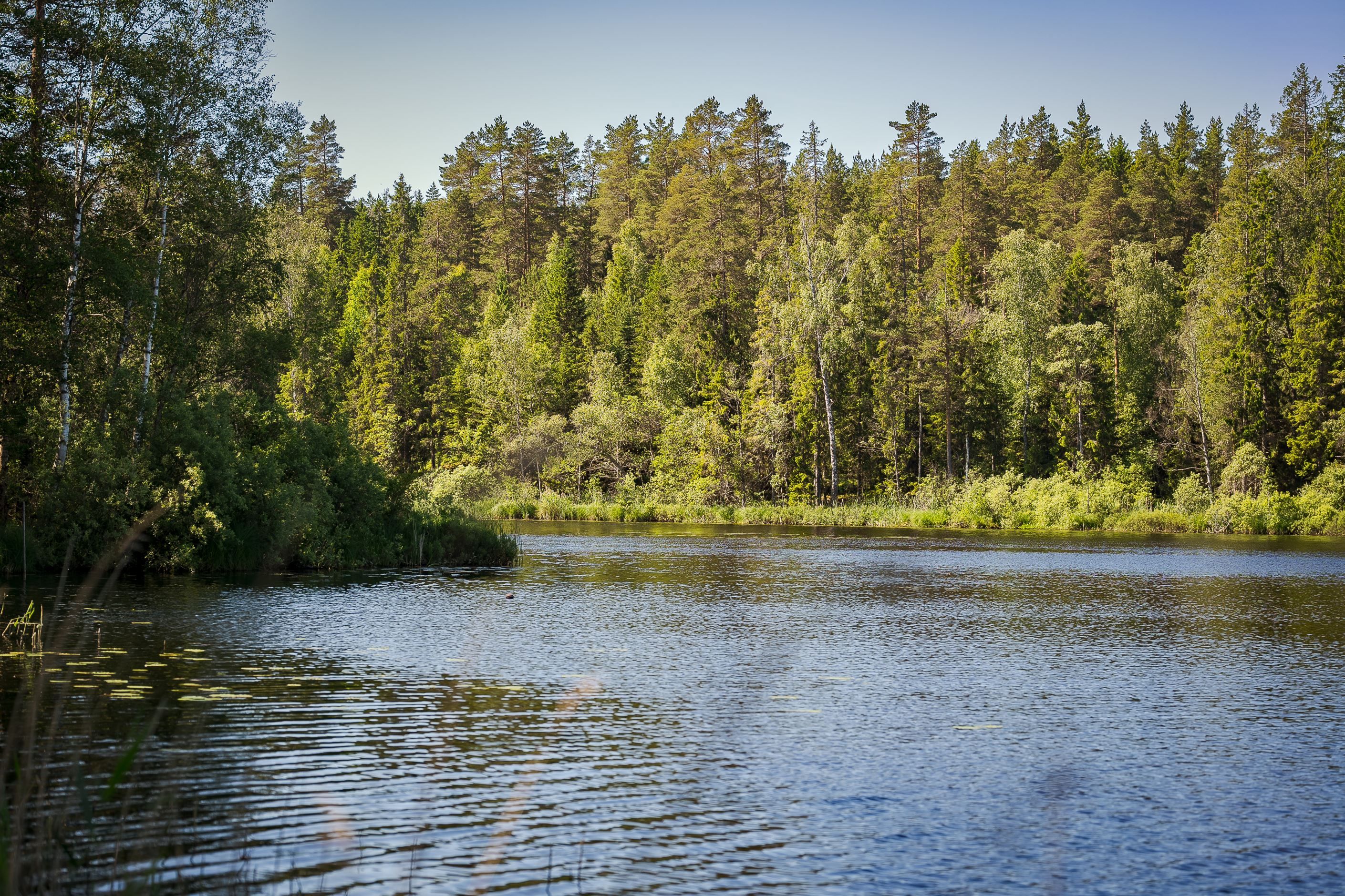 Häggsjön