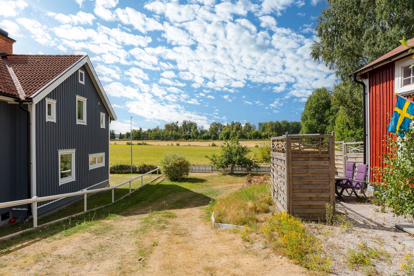 Trädgård