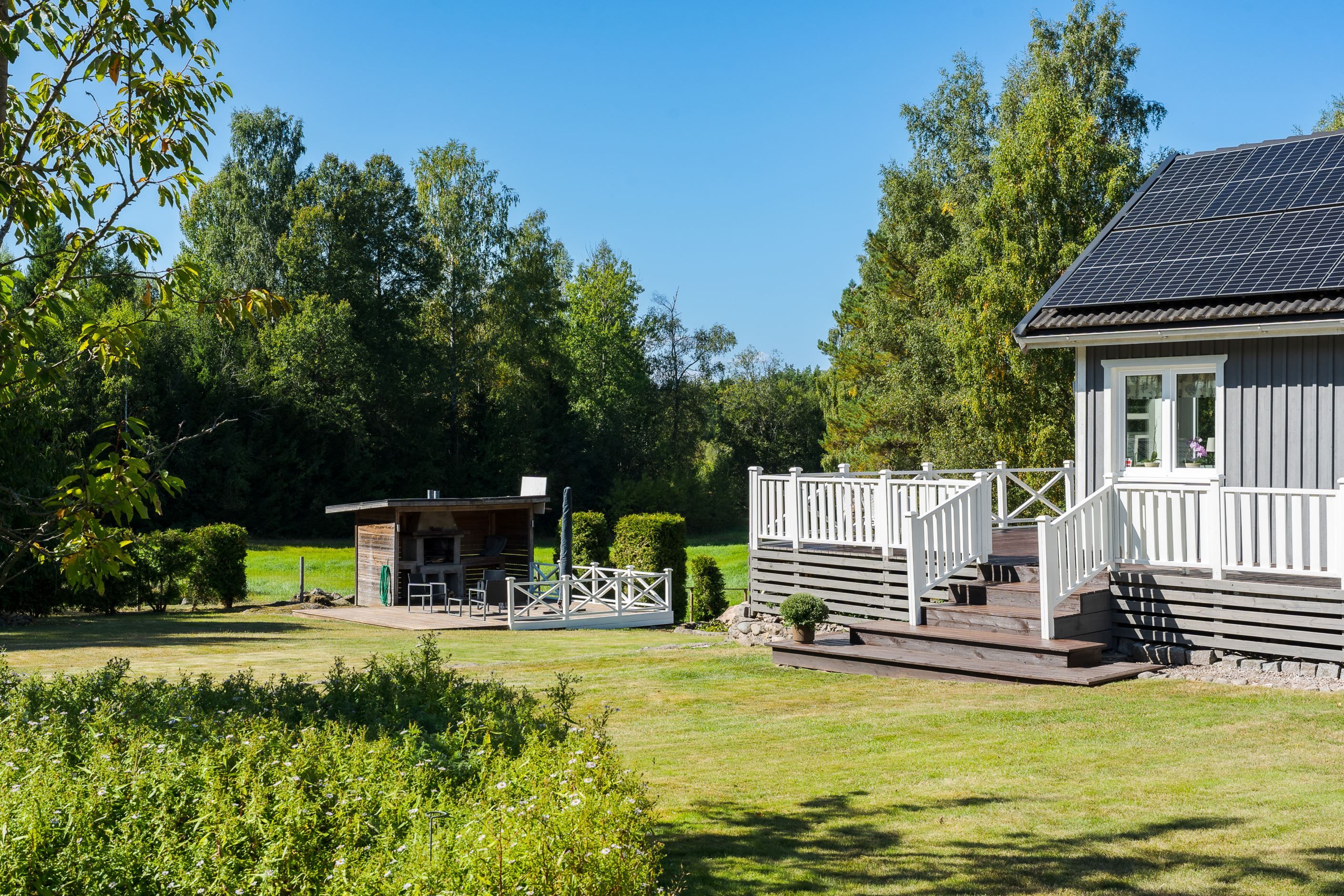 Trädgård