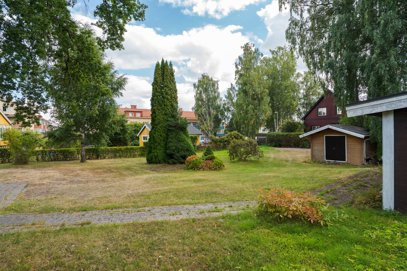 Trädgård