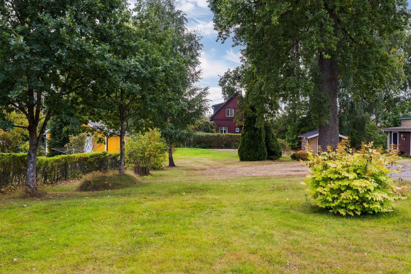 Trädgård