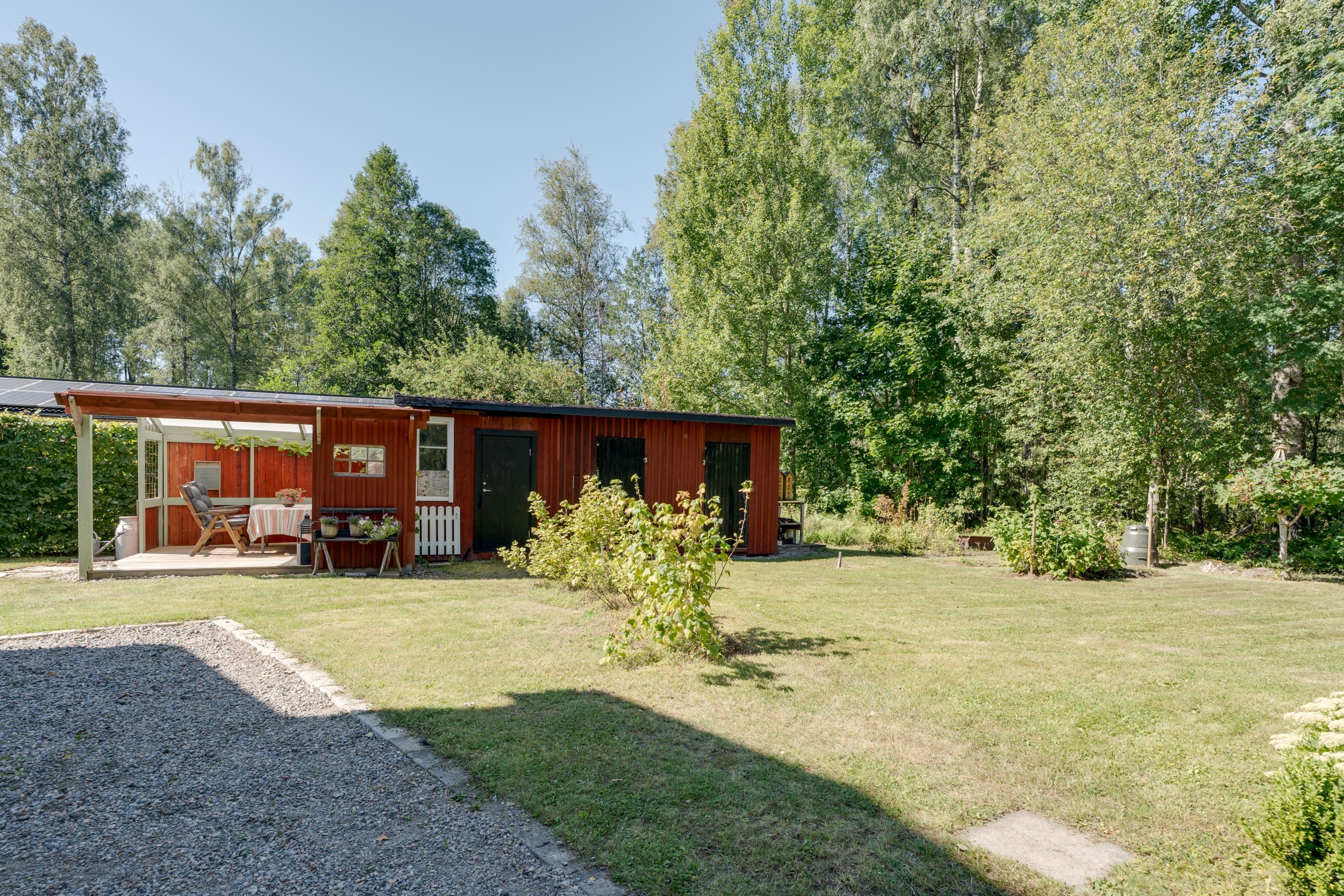 Trädgård