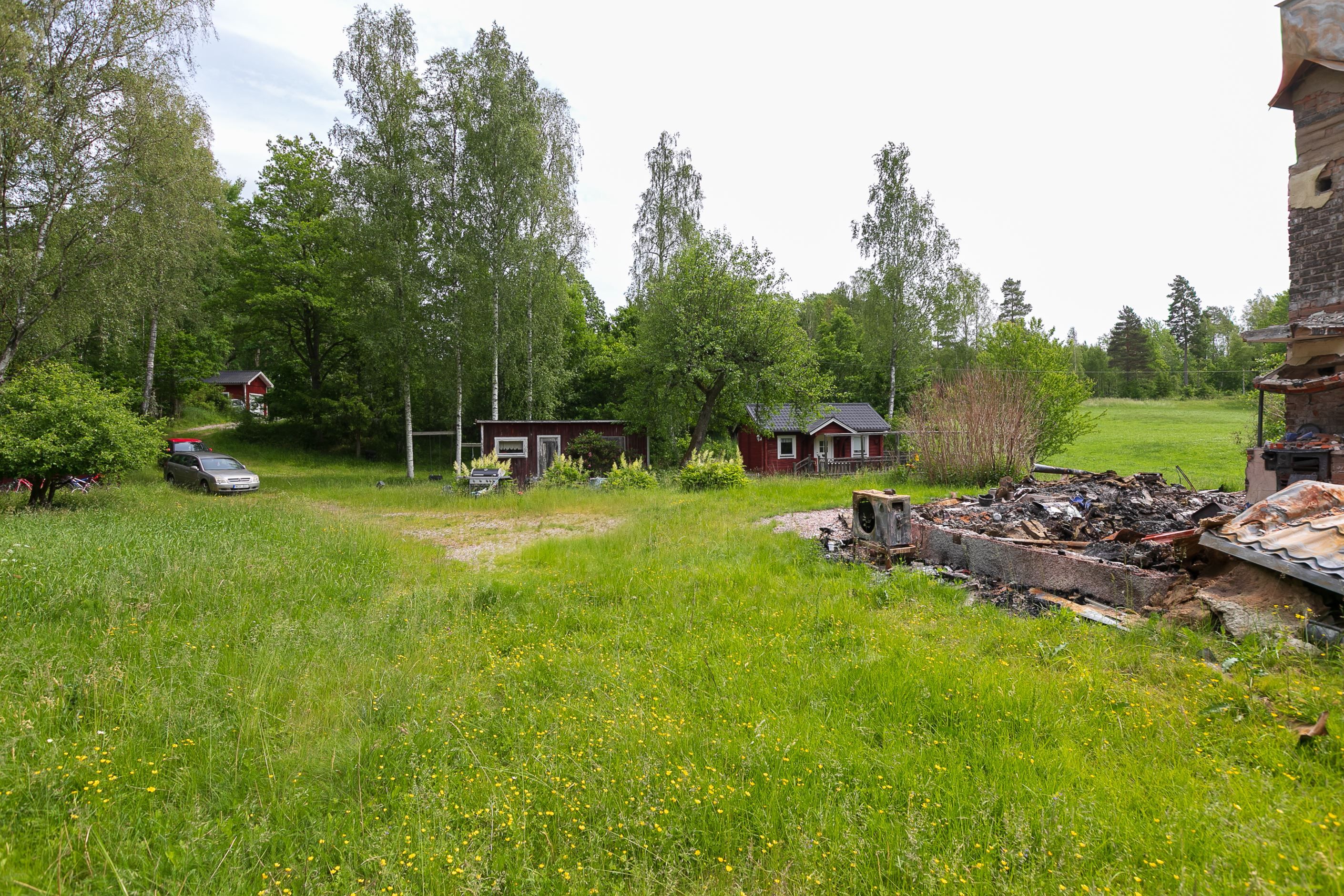 Trädgård