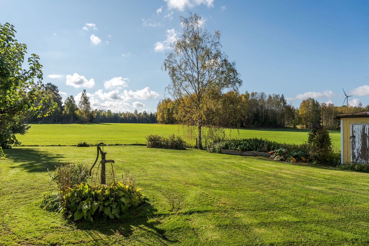 Trädgård