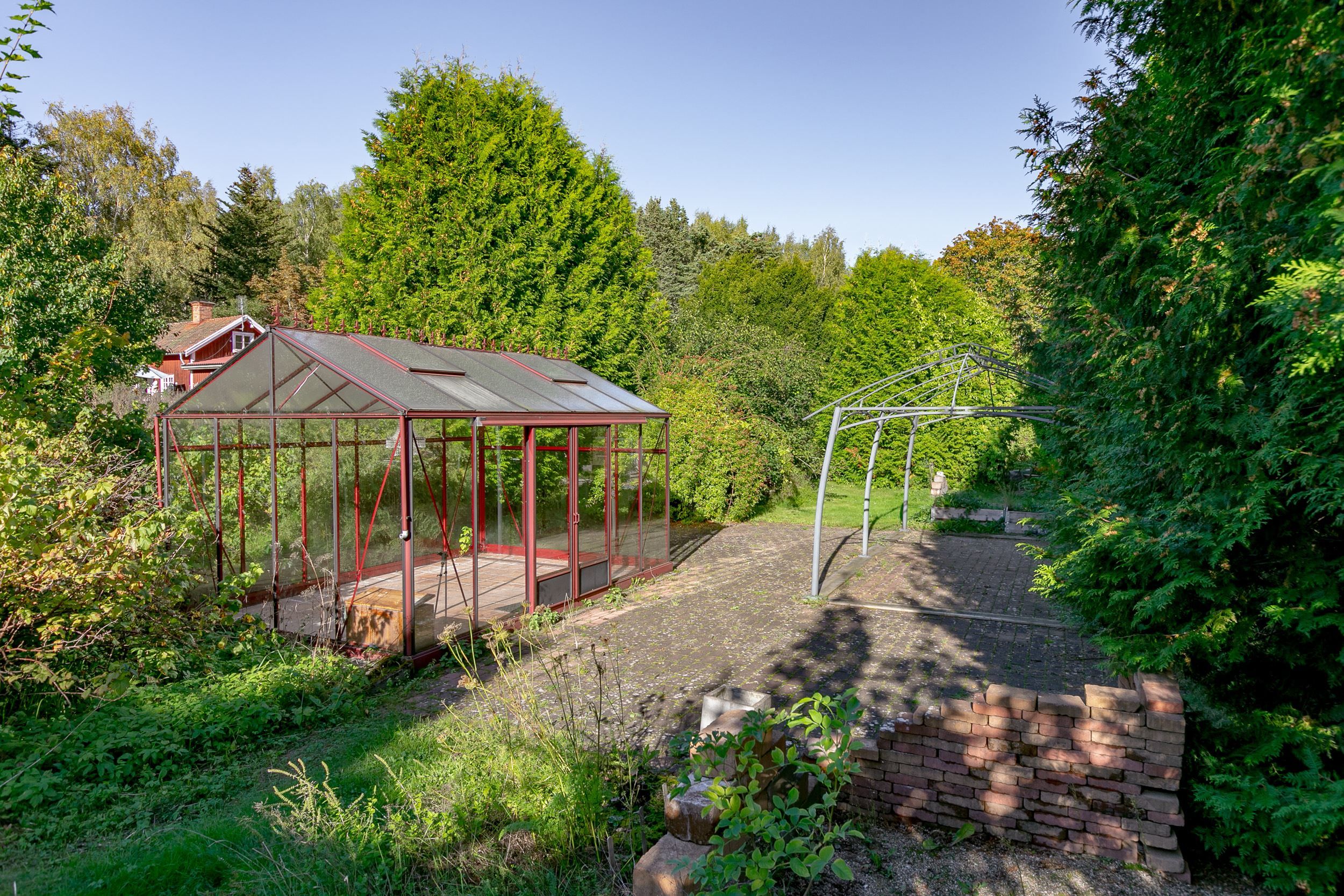 Växthus