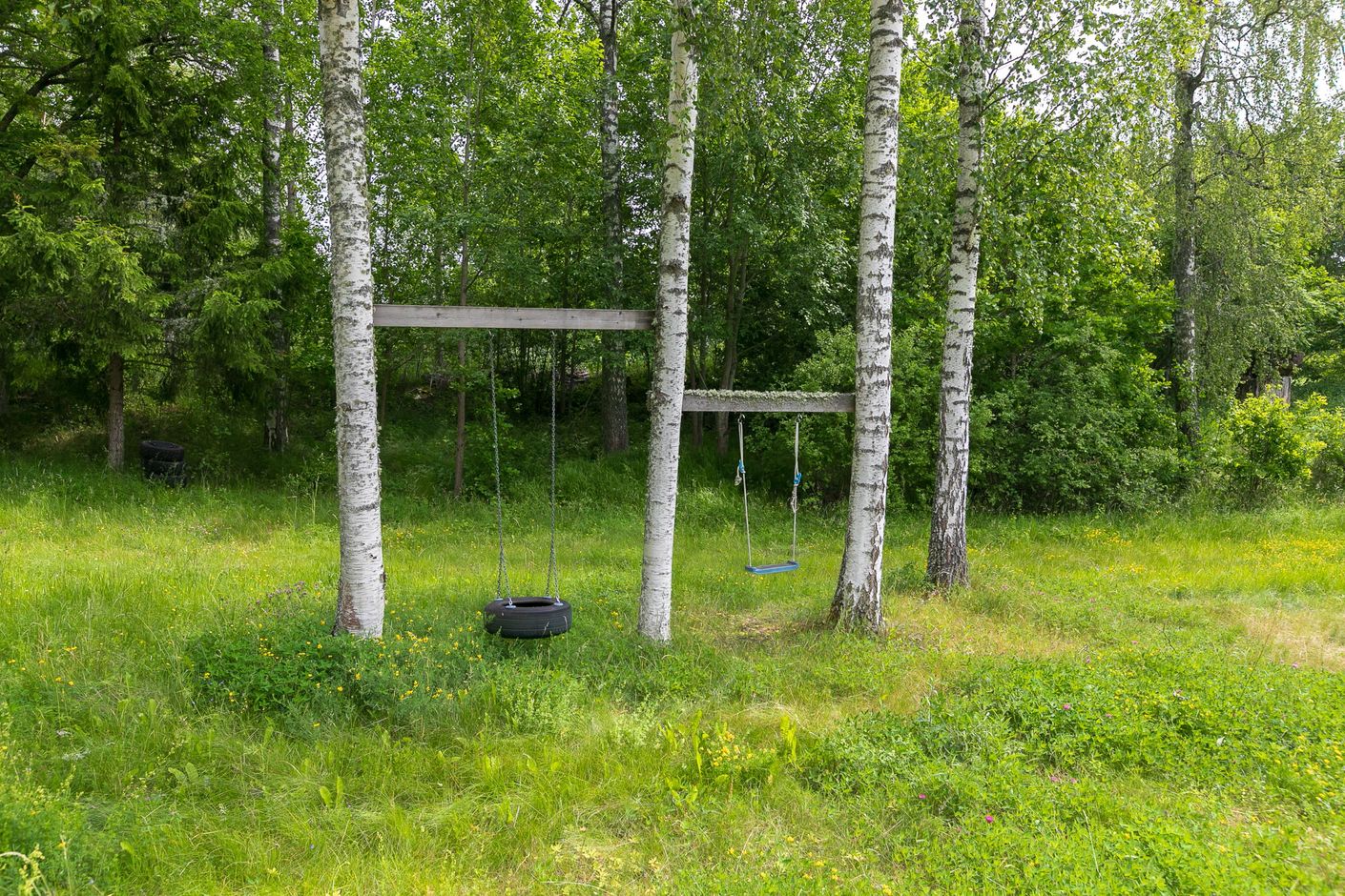 Härlig trädgård
