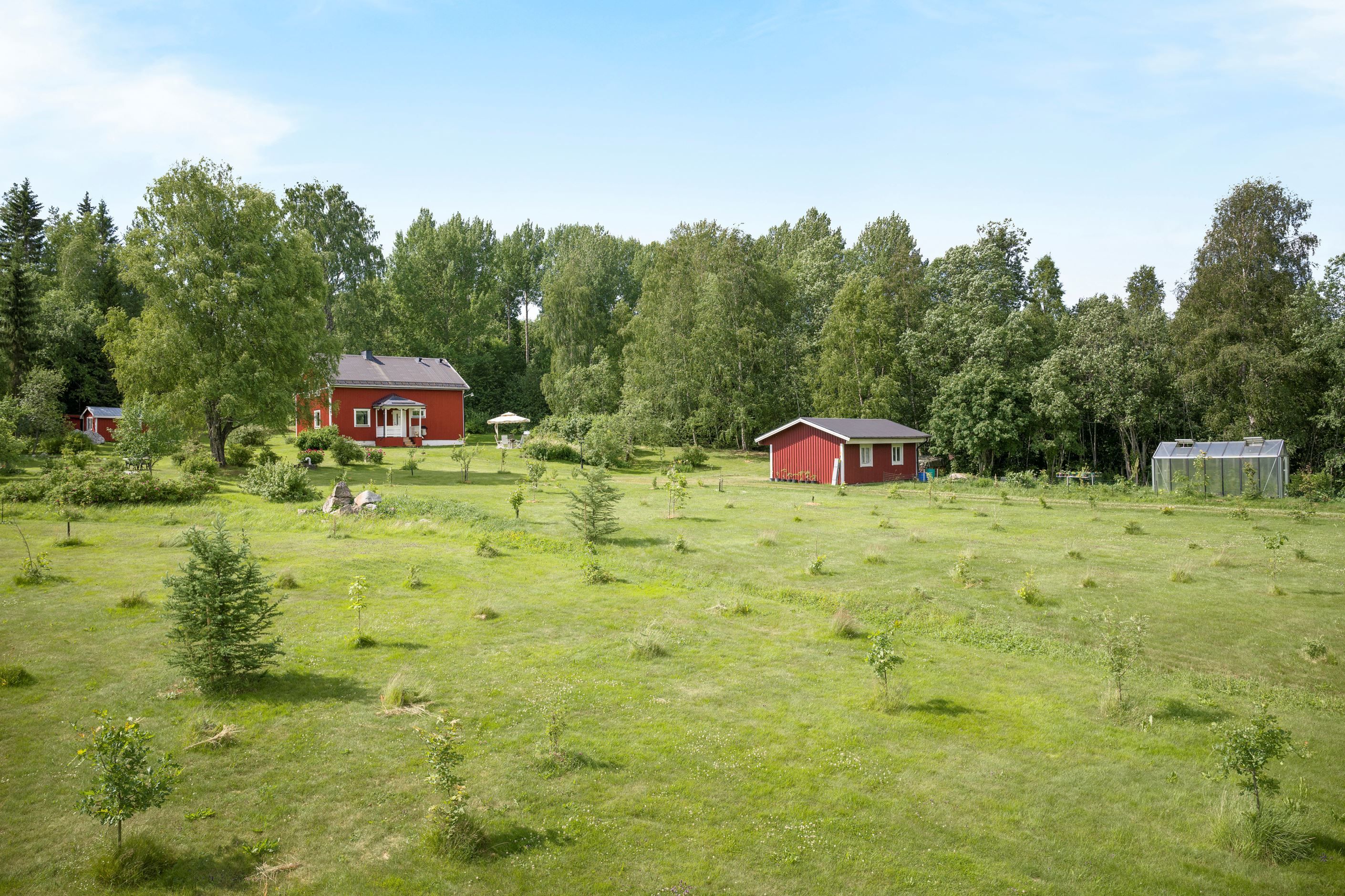 Gålviken med trädplanteringen