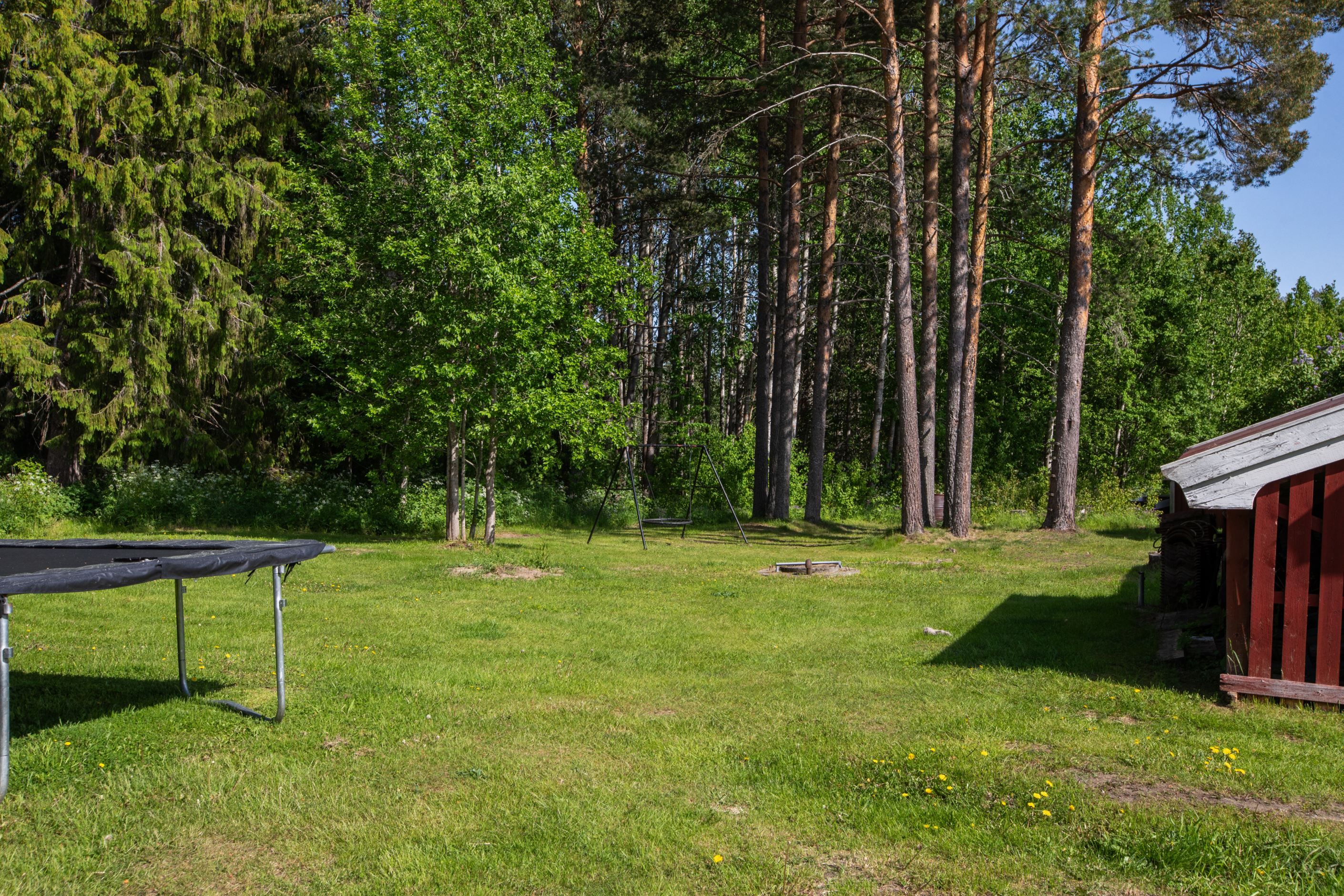 Trädgården
