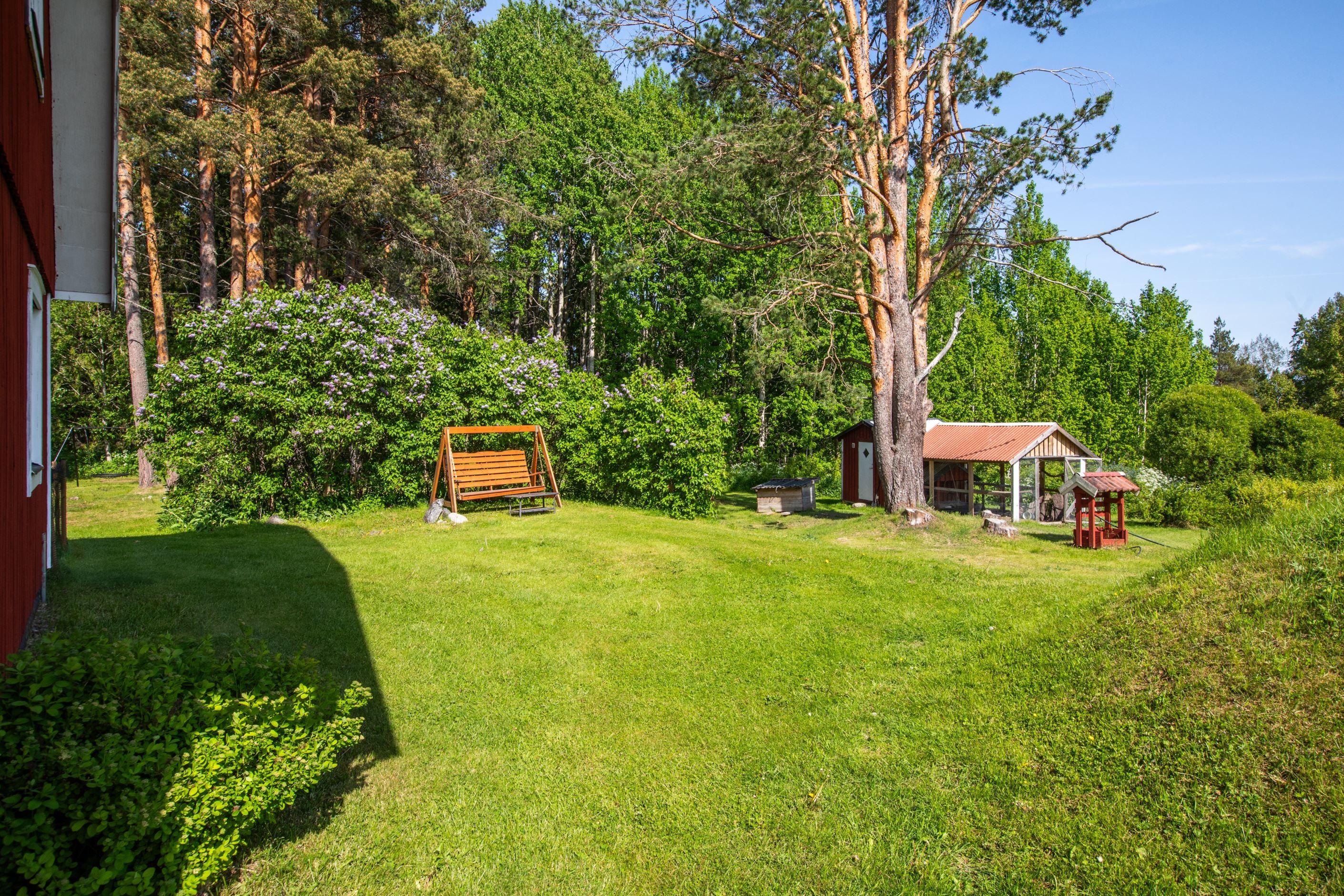 Trädgården