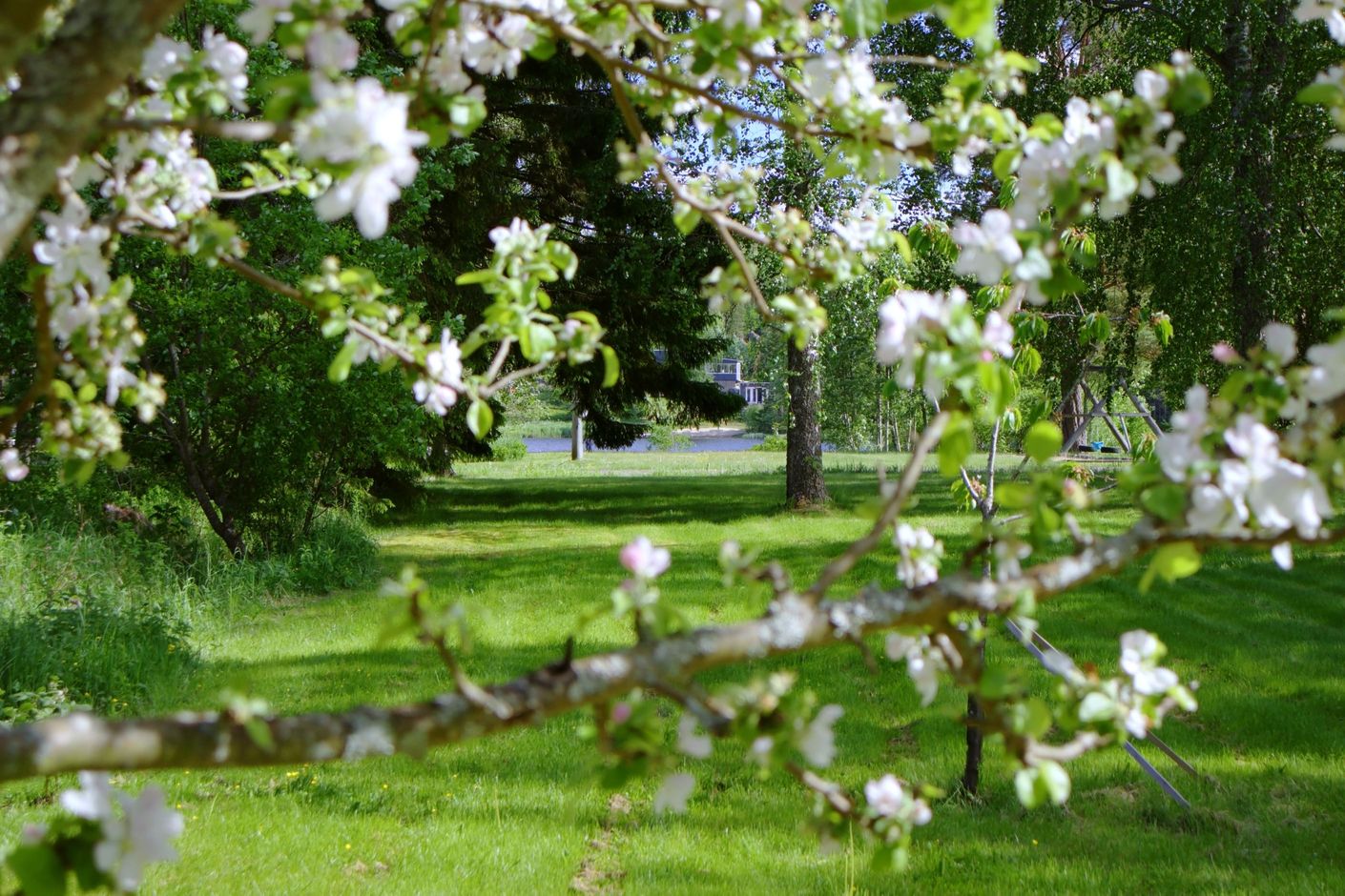 Trädgården