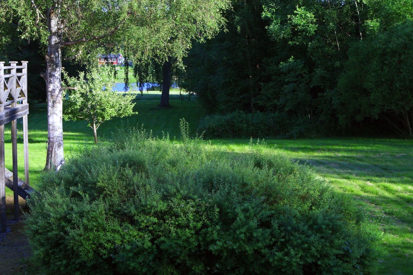 Trädgården