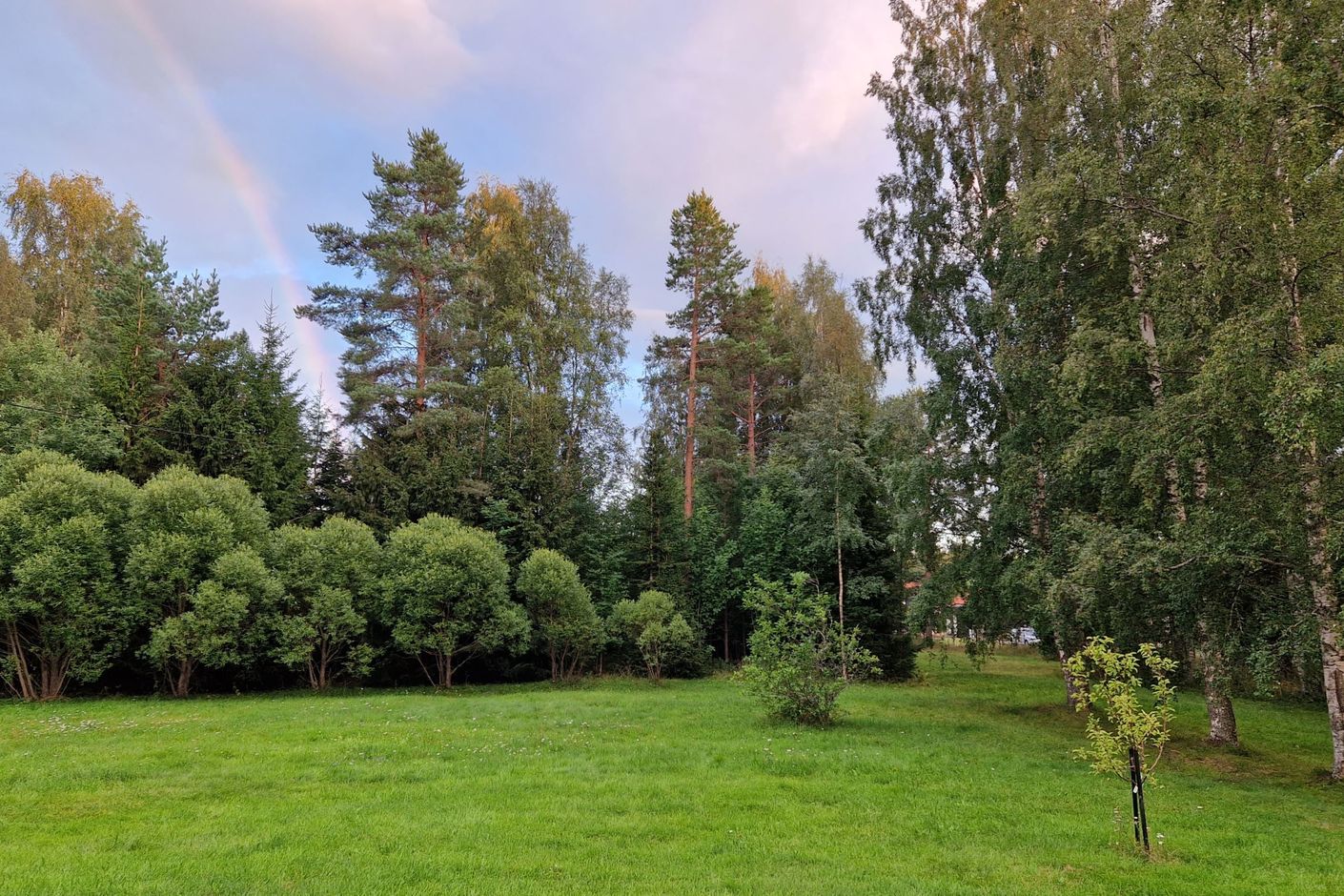 Trädgården