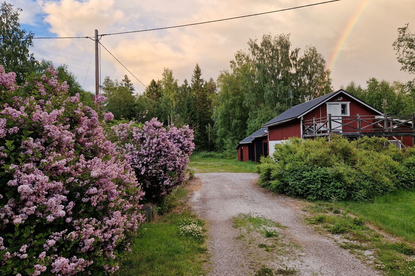 Trädgården
